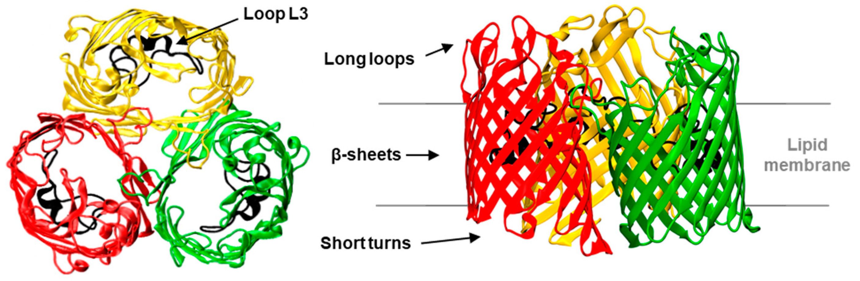 Ijms 20 00674 g001 Ijms 20 00674 g001