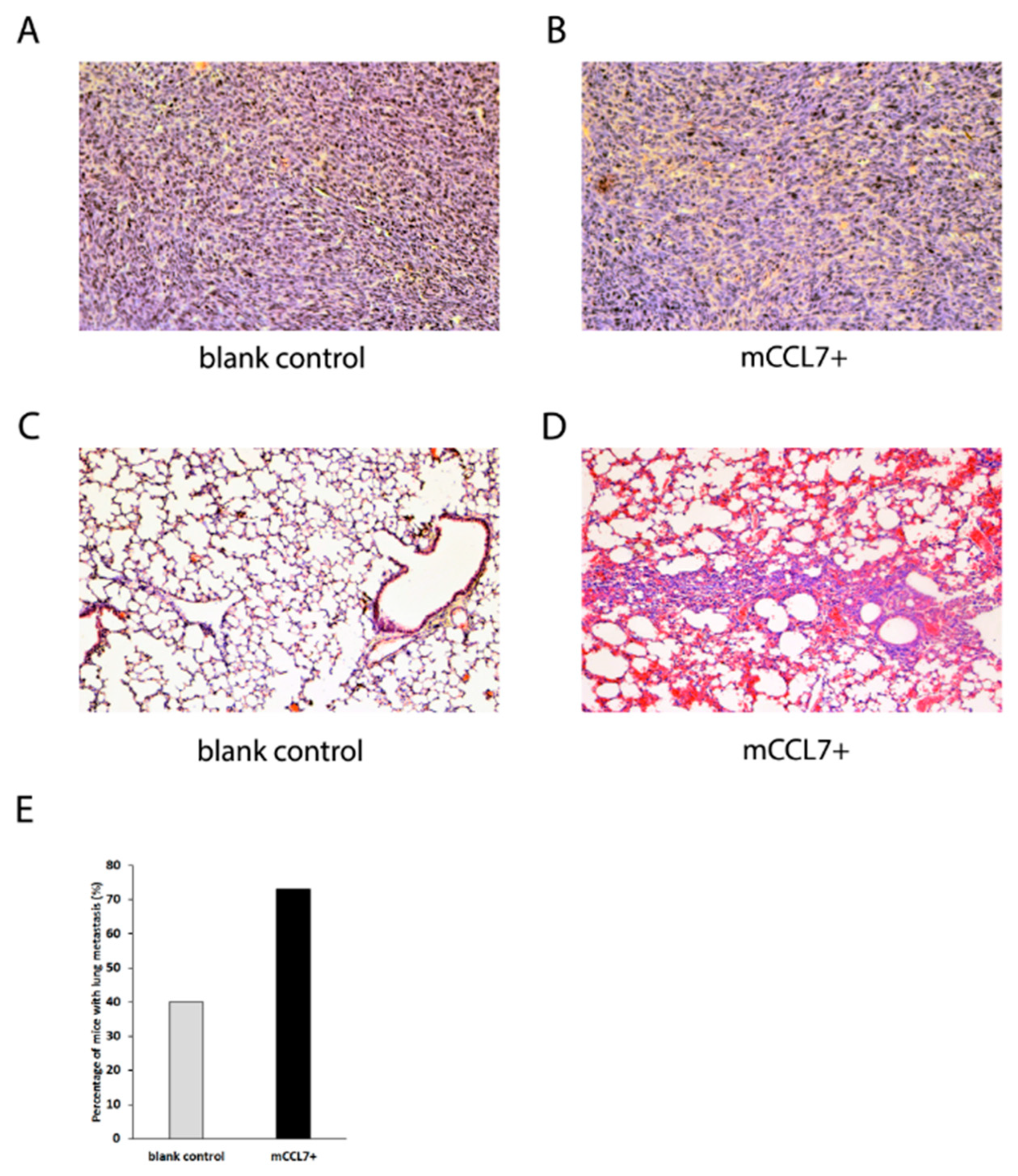 Ijms 20 00686 g003 550