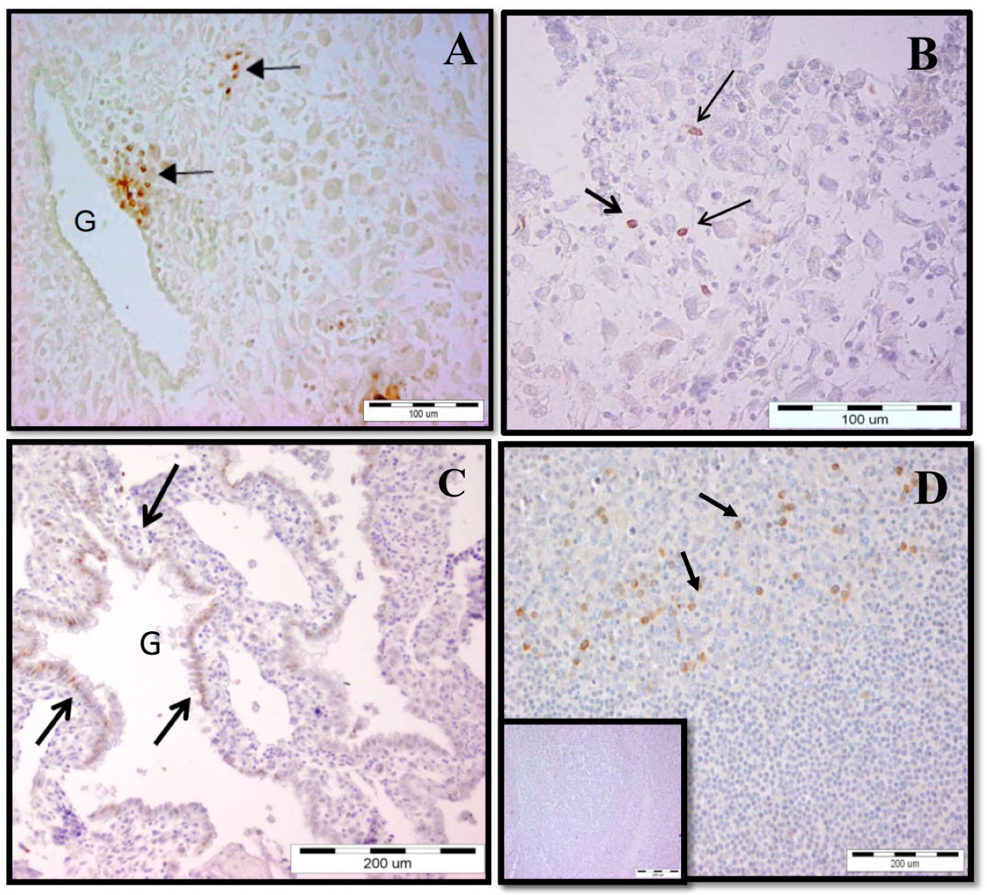 Ijms 20 00687 g001 550