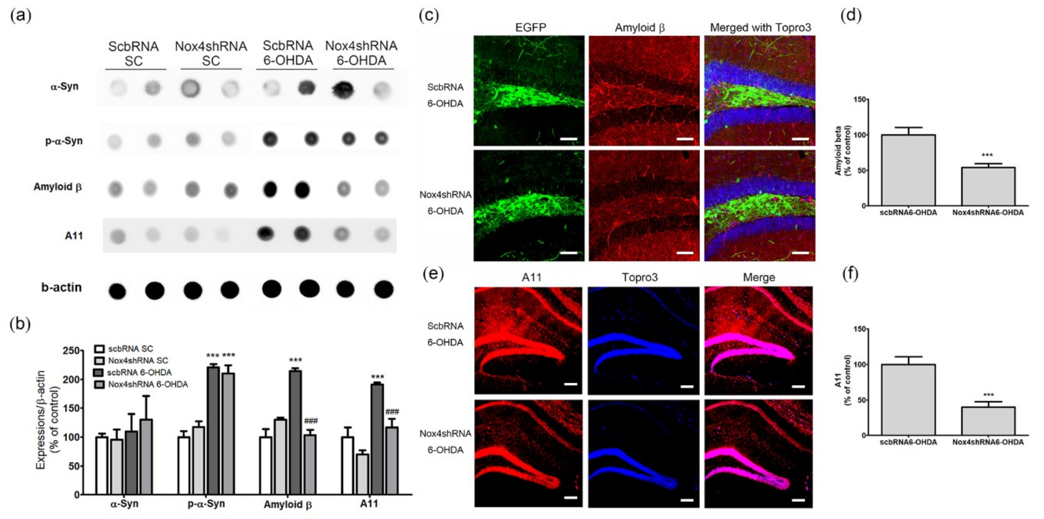Ijms 20 00696 g008 Ijms 20 00696 g008