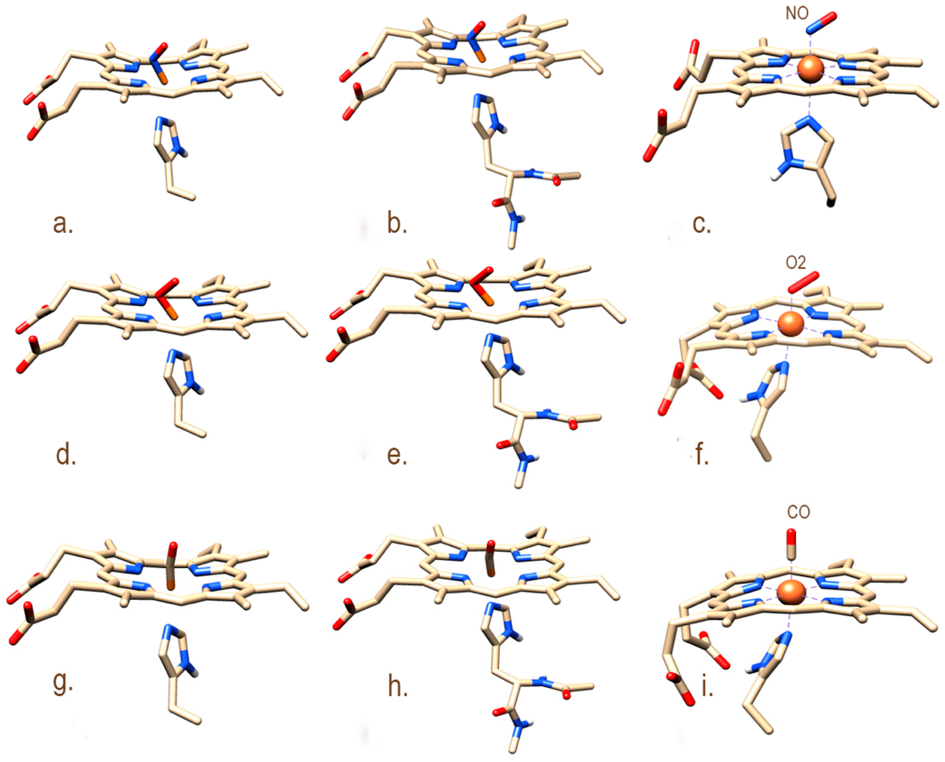 Ijms 20 00698 g002 Ijms 20 00698 g002