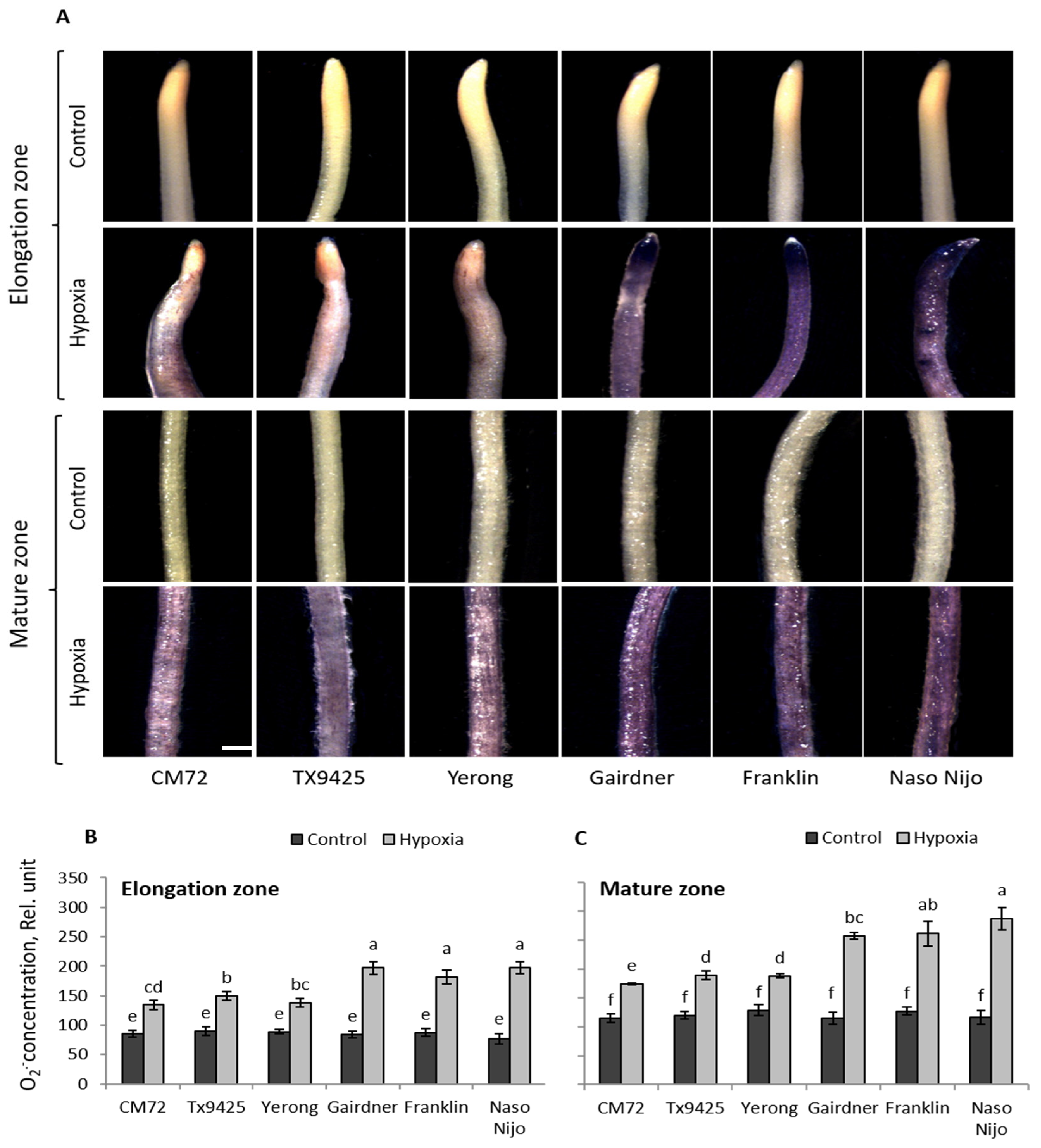 Ijms 20 00699 g001 550