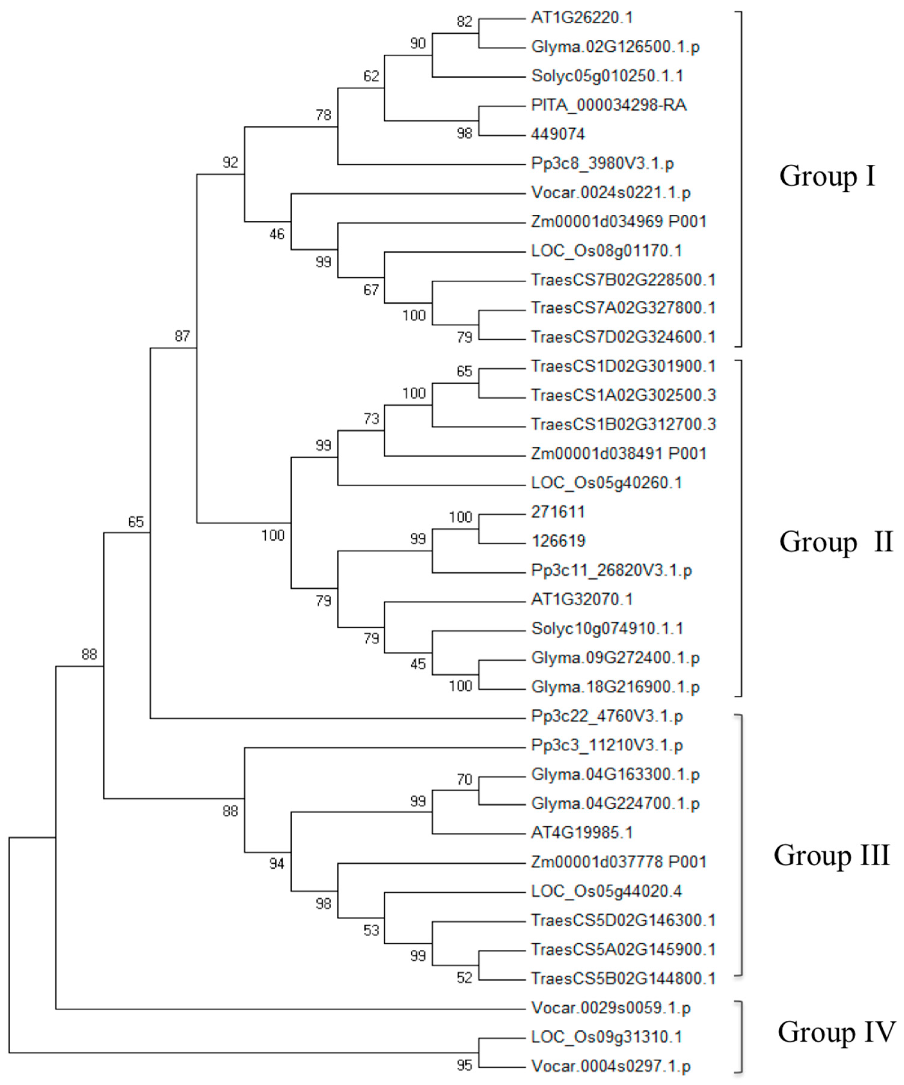 Ijms 20 00709 g001 550