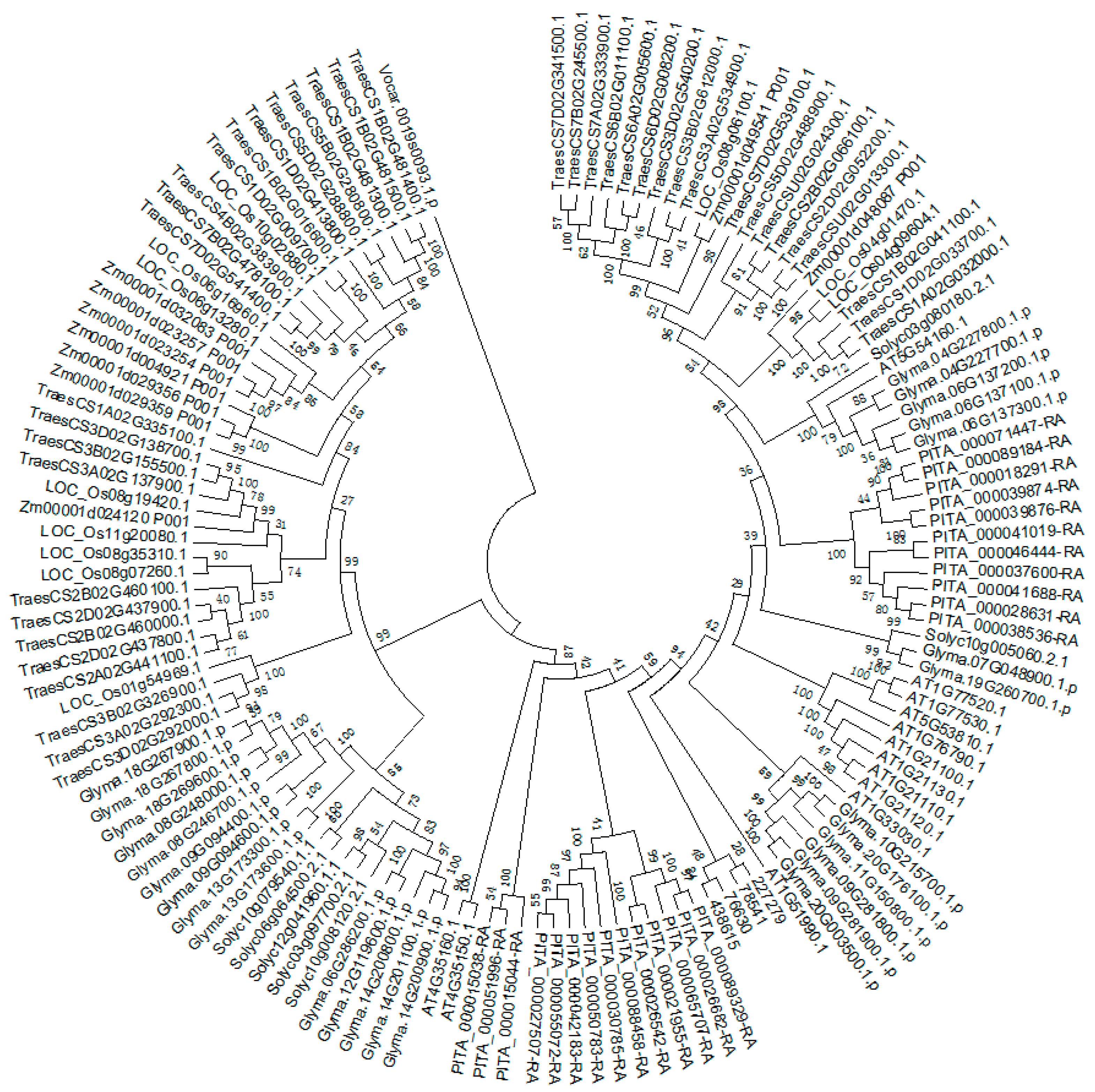 Ijms 20 00709 g002 550