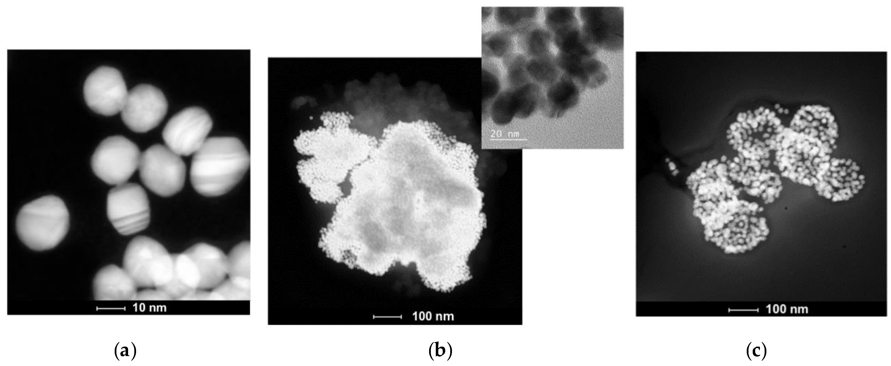 Ijms 20 00710 g006 550