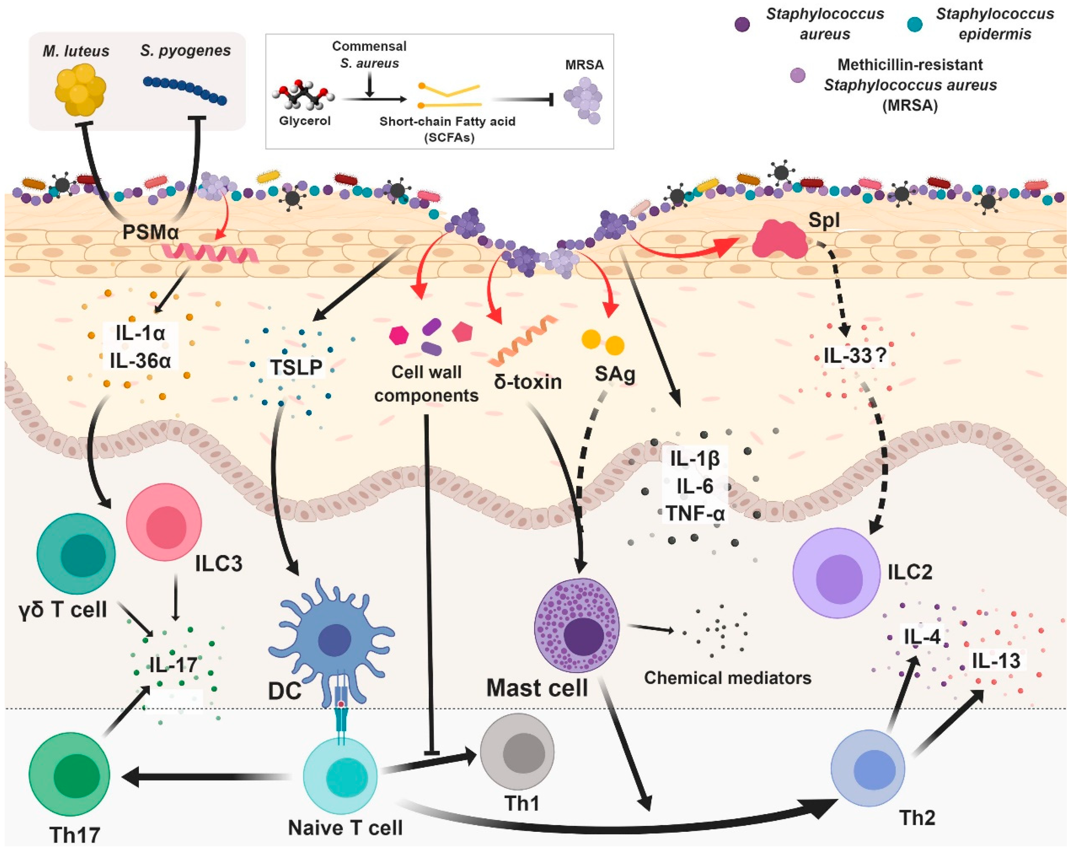 Association of Staphylococcus aureus colonization with food allergy occurs independently of eczema severity - ScienceDirect