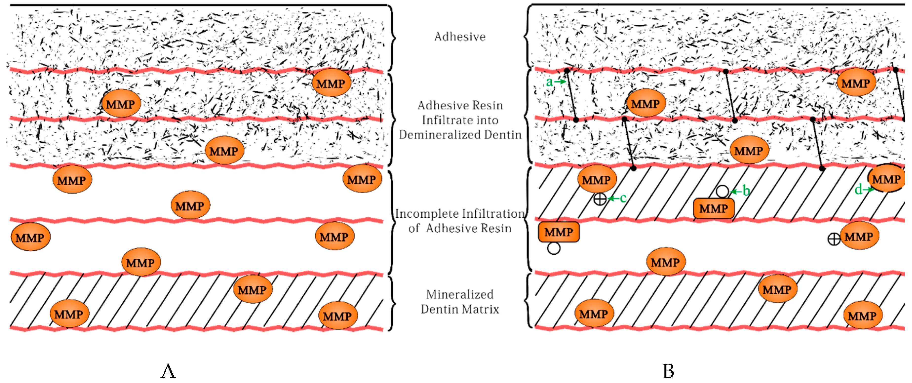 Ijms 20 00723 g002 550