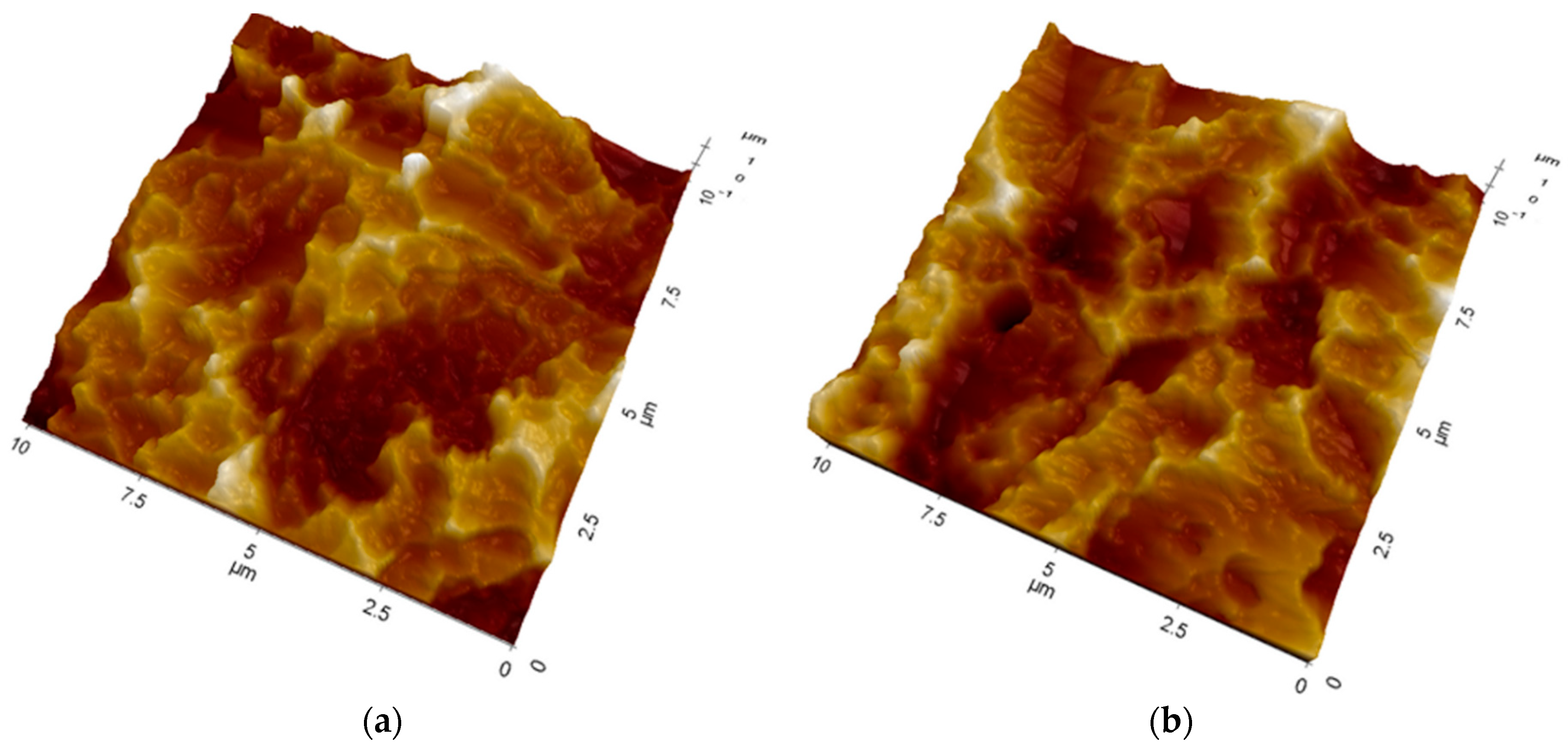 Ijms 20 00724 g002 Ijms 20 00724 g002