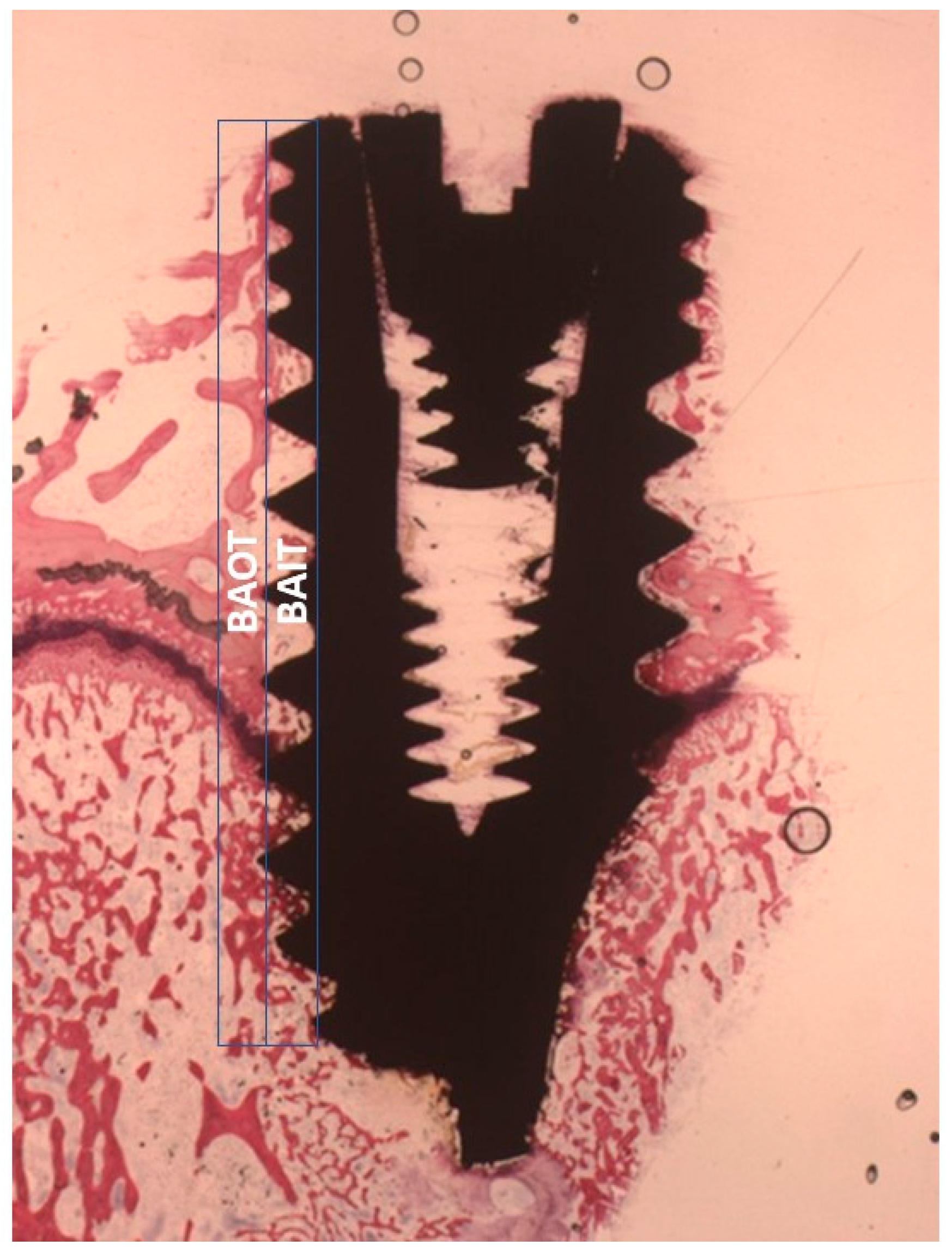 Ijms 20 00724 g012 Ijms 20 00724 g012