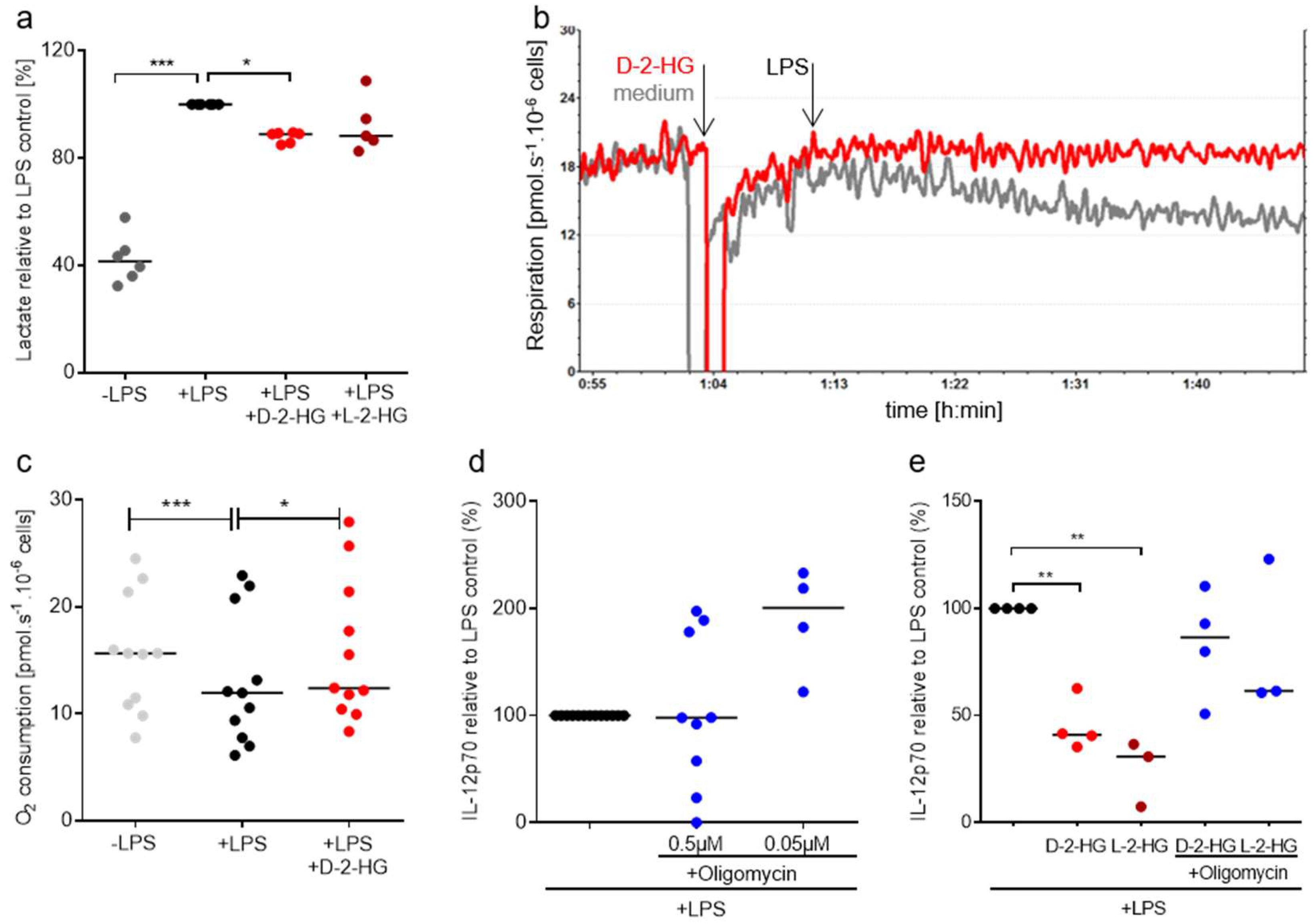 Ijms 20 00742 g005 Ijms 20 00742 g005