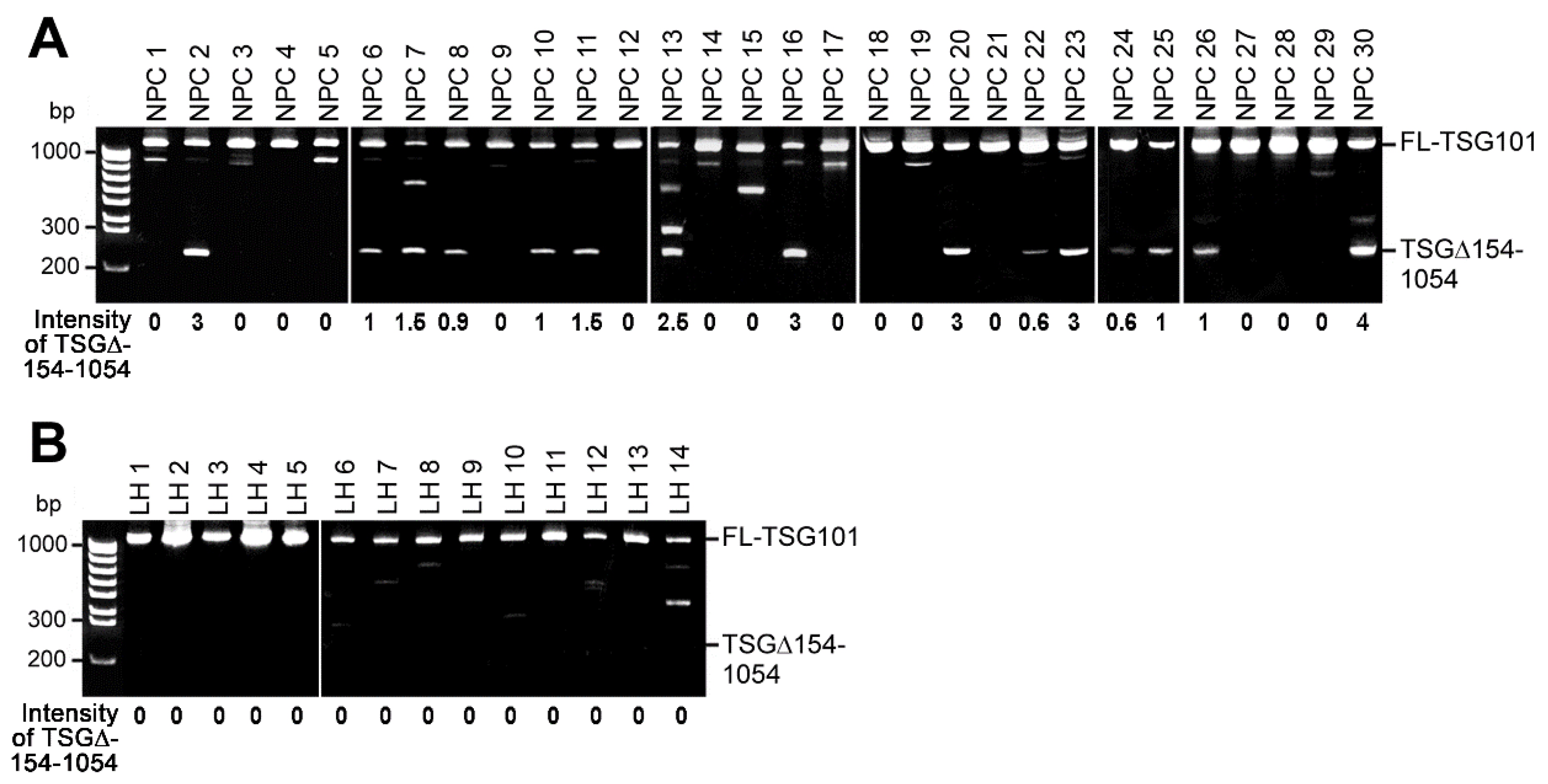 Ijms 20 00773 g001 Ijms 20 00773 g001