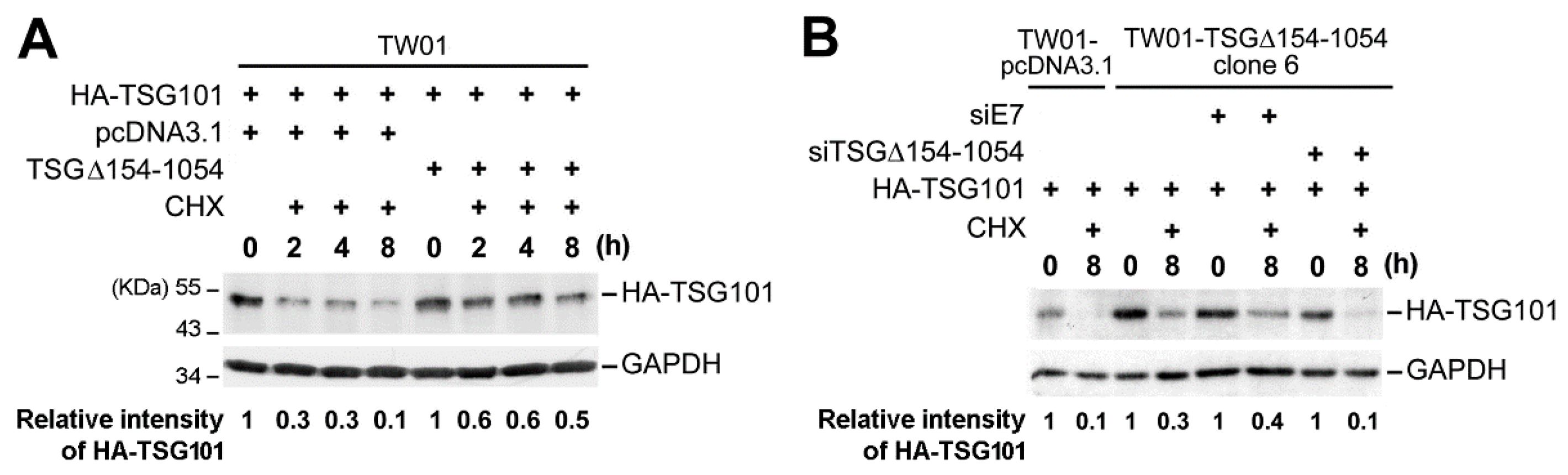 Ijms 20 00773 g004 Ijms 20 00773 g004