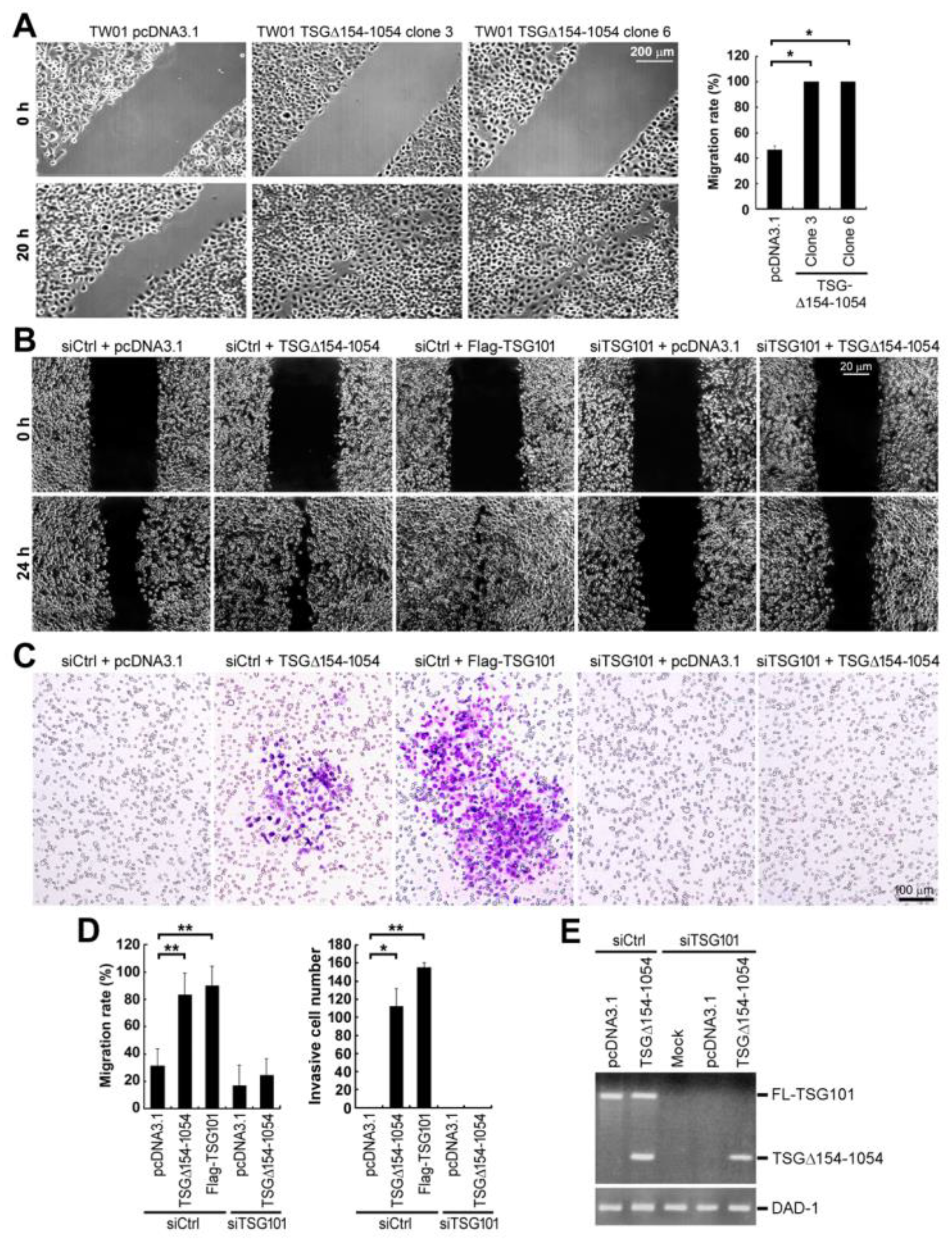 Ijms 20 00773 g005 Ijms 20 00773 g005