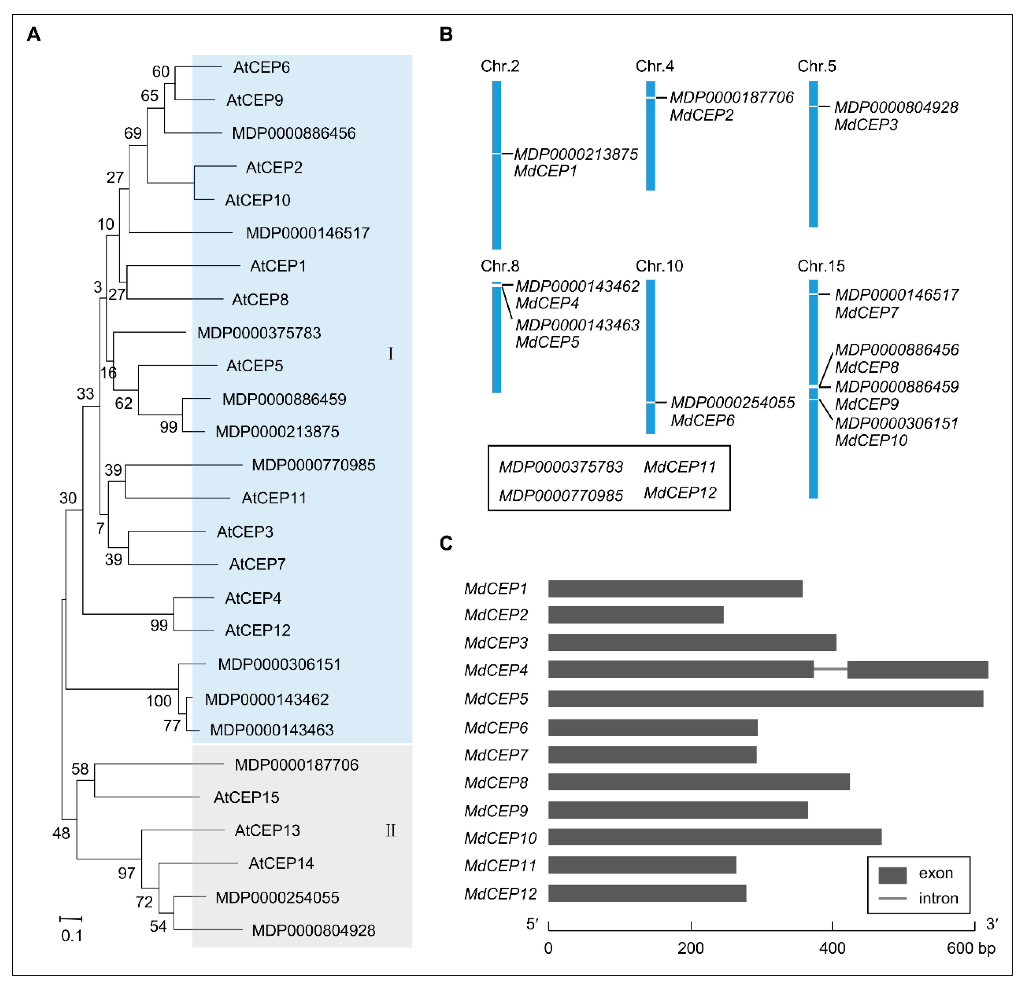 Ijms 20 00775 g001 Ijms 20 00775 g001