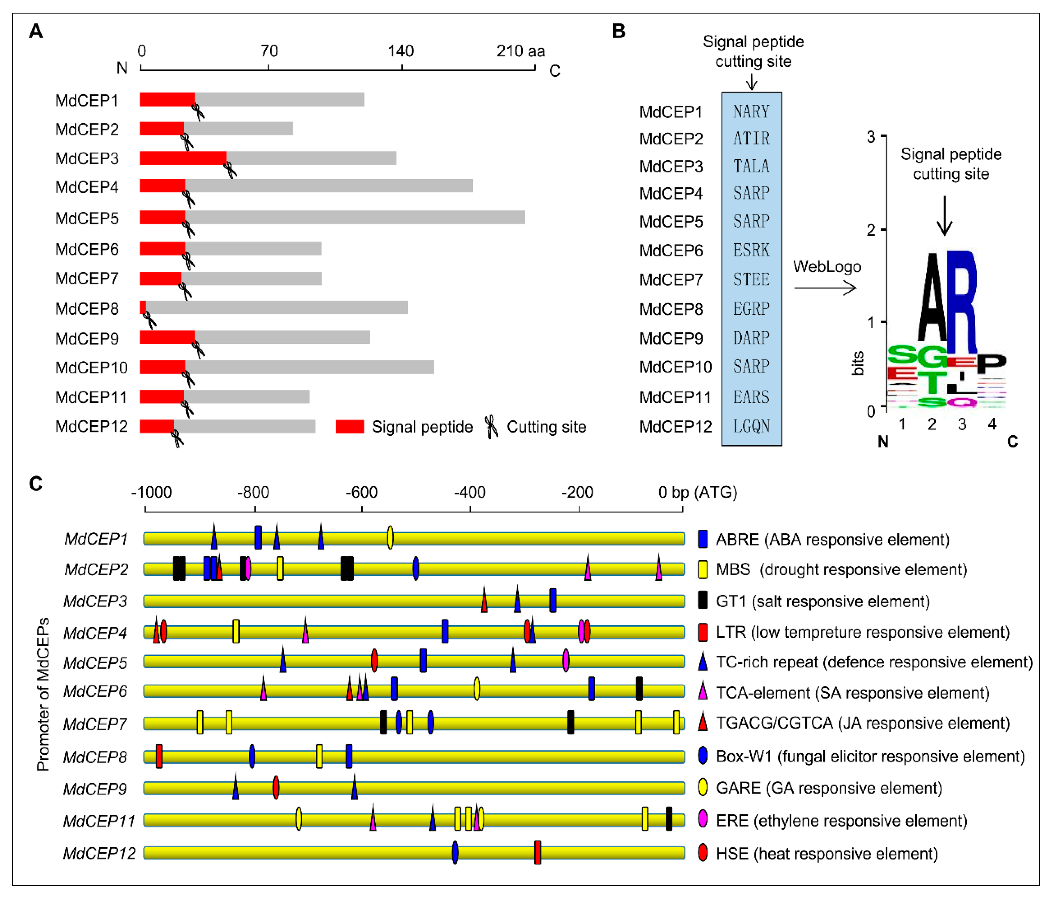 Ijms 20 00775 g002 Ijms 20 00775 g002