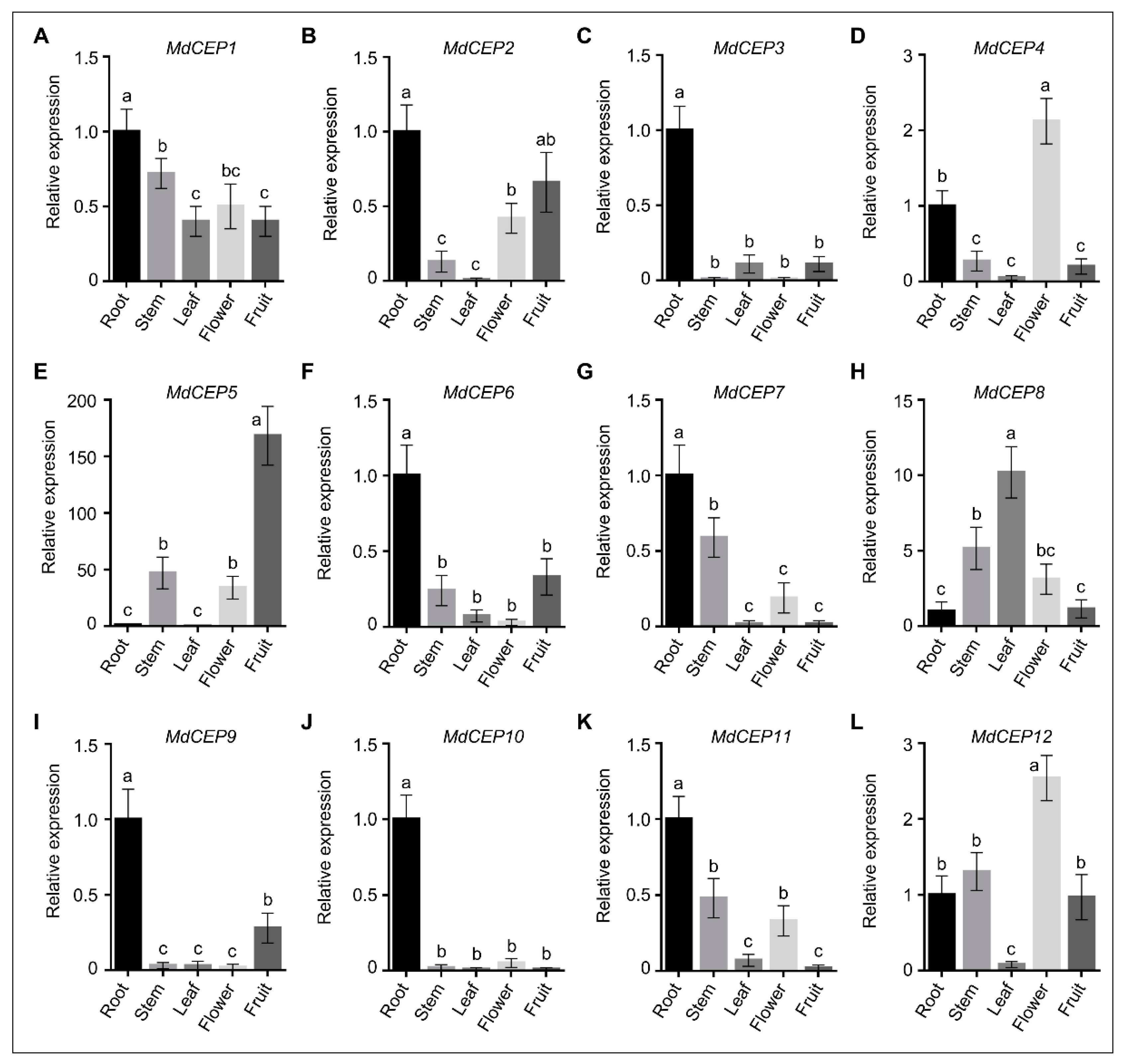 Ijms 20 00775 g003 Ijms 20 00775 g003