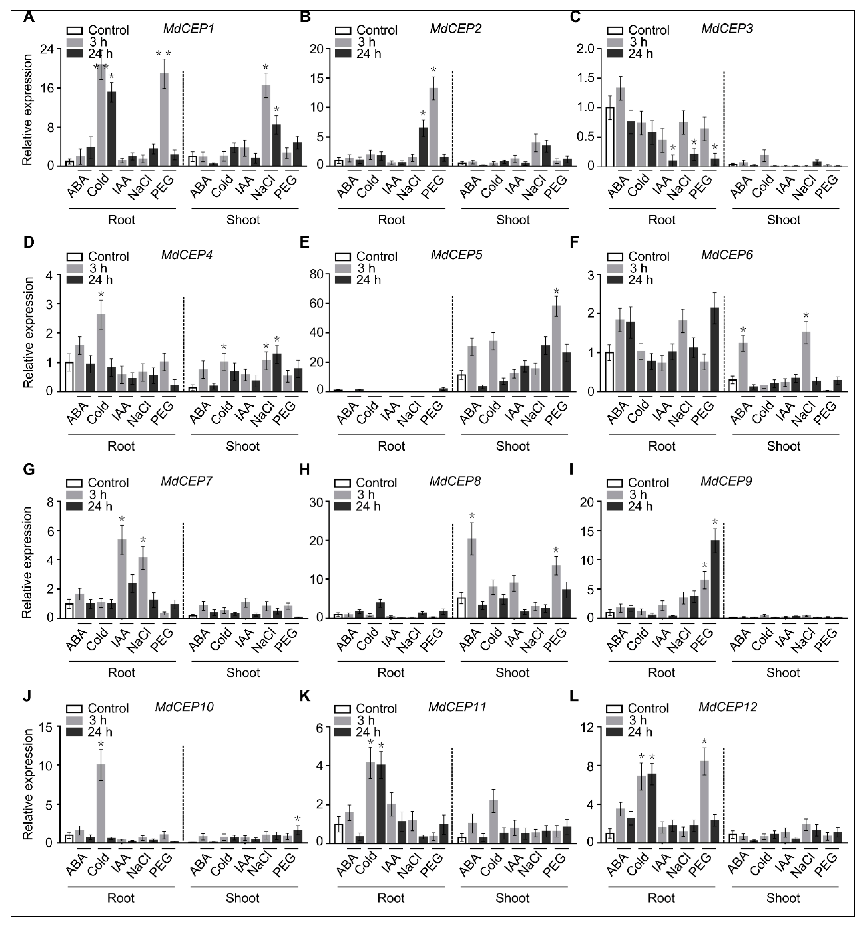 Ijms 20 00775 g004 Ijms 20 00775 g004