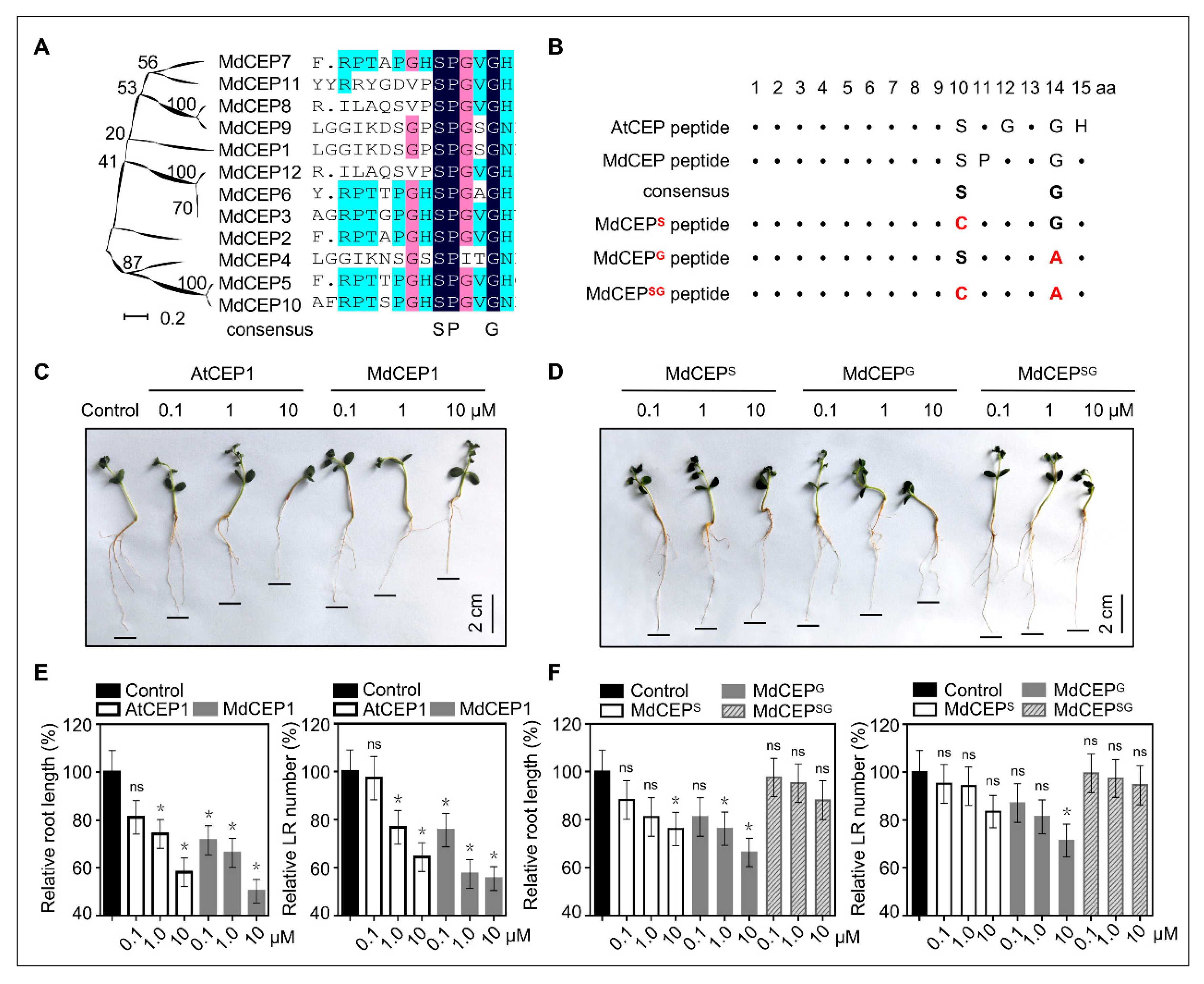 Ijms 20 00775 g006 Ijms 20 00775 g006