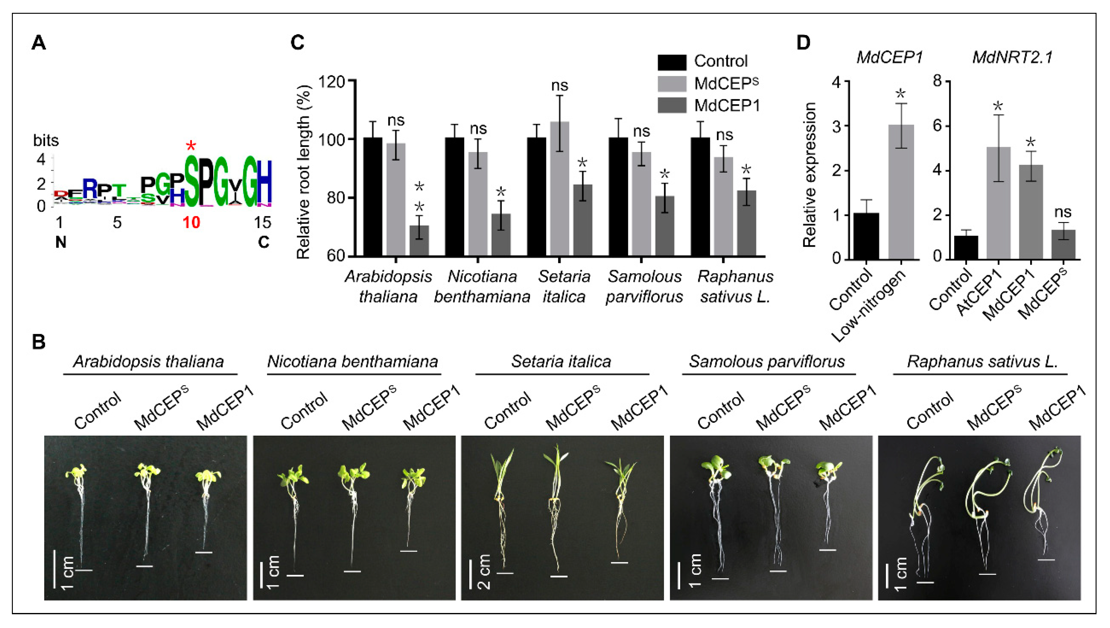 Ijms 20 00775 g008 Ijms 20 00775 g008