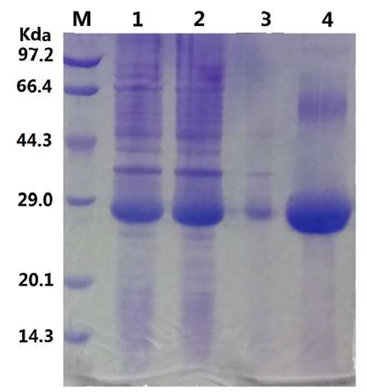 Ijms 20 00780 g002 Ijms 20 00780 g002