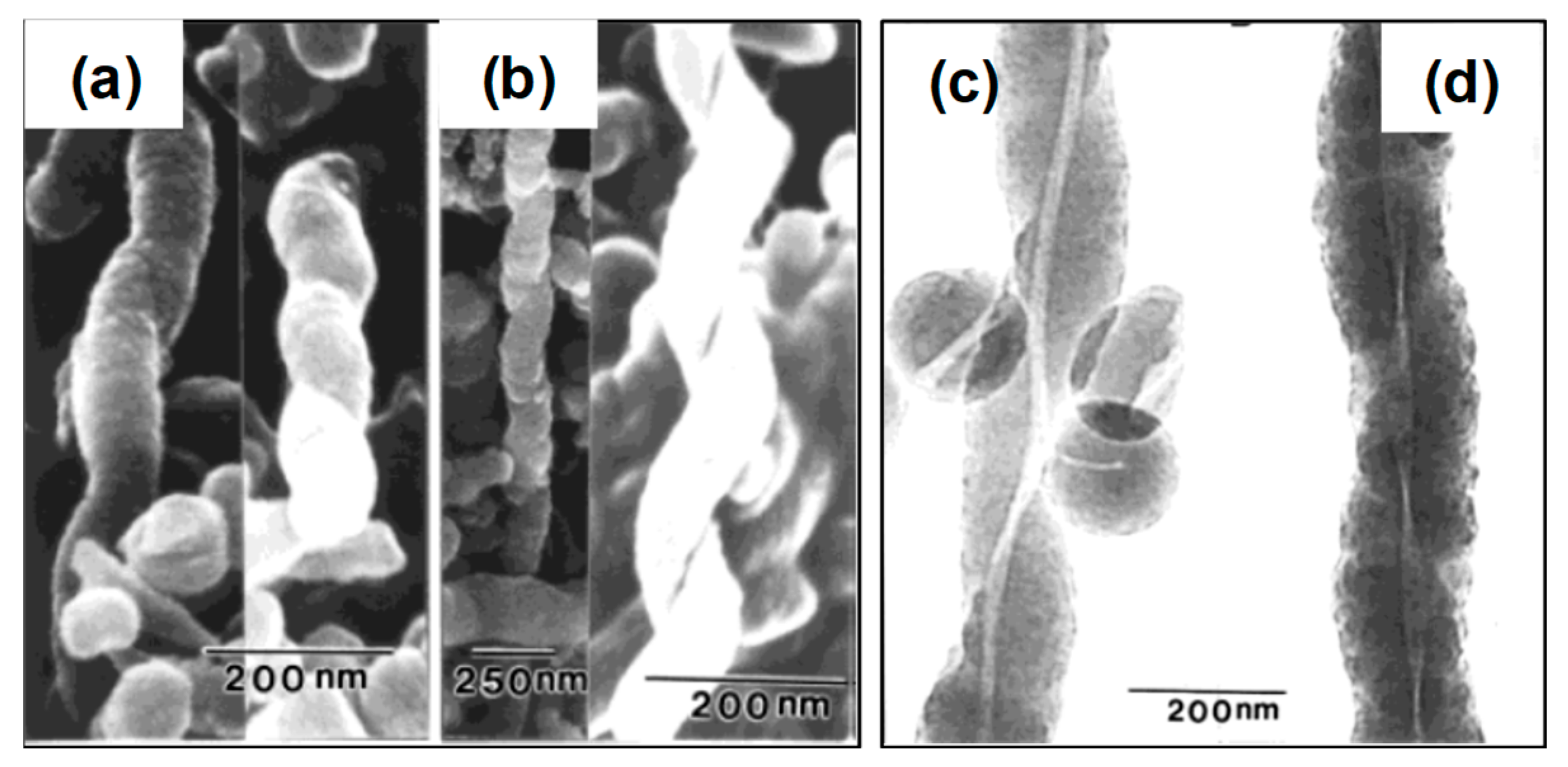 Ijms 20 00781 g006 Ijms 20 00781 g006