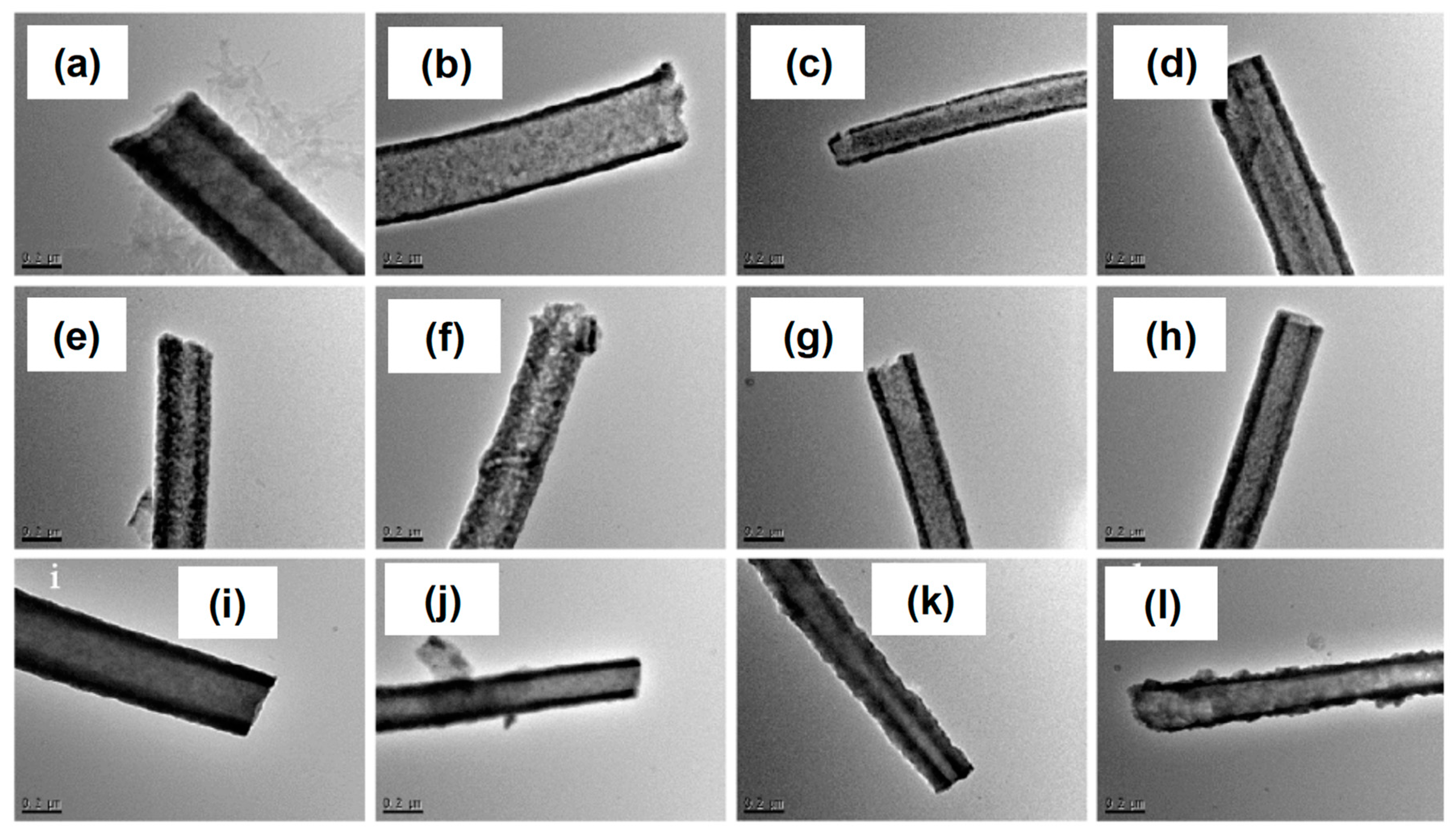 Ijms 20 00781 g010 Ijms 20 00781 g010