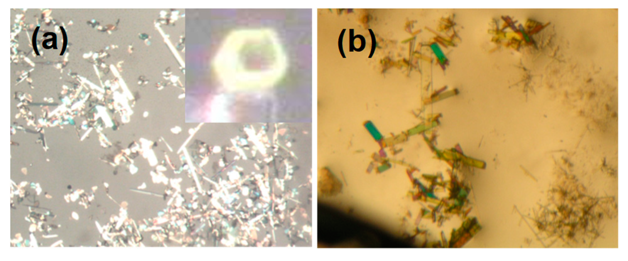 Ijms 20 00781 g013 Ijms 20 00781 g013