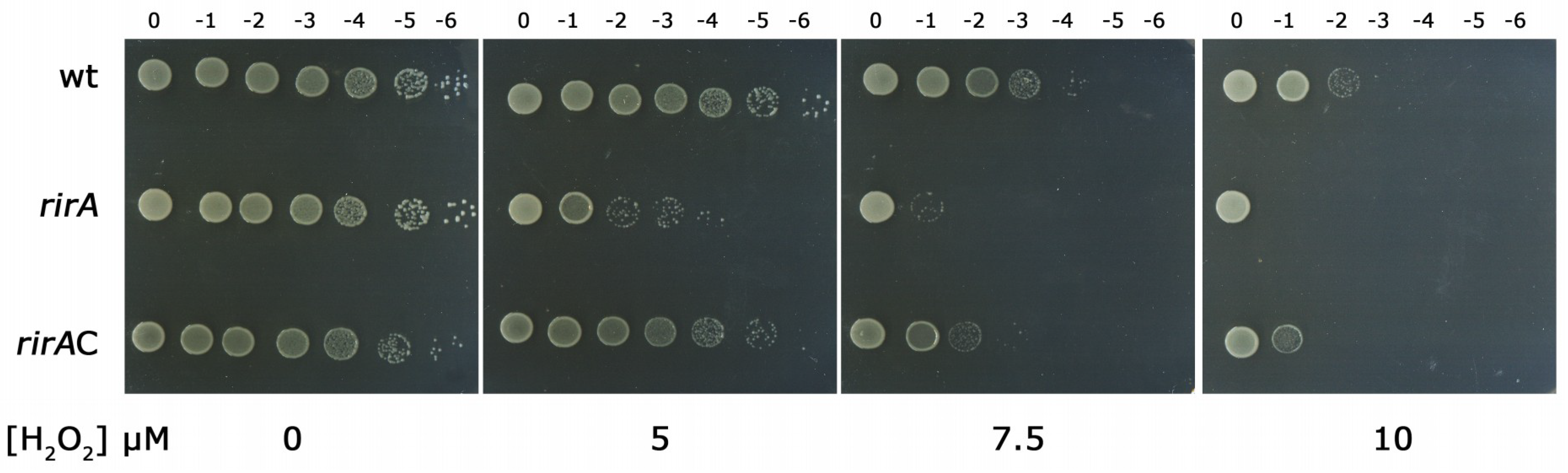 Ijms 20 00787 g002 550