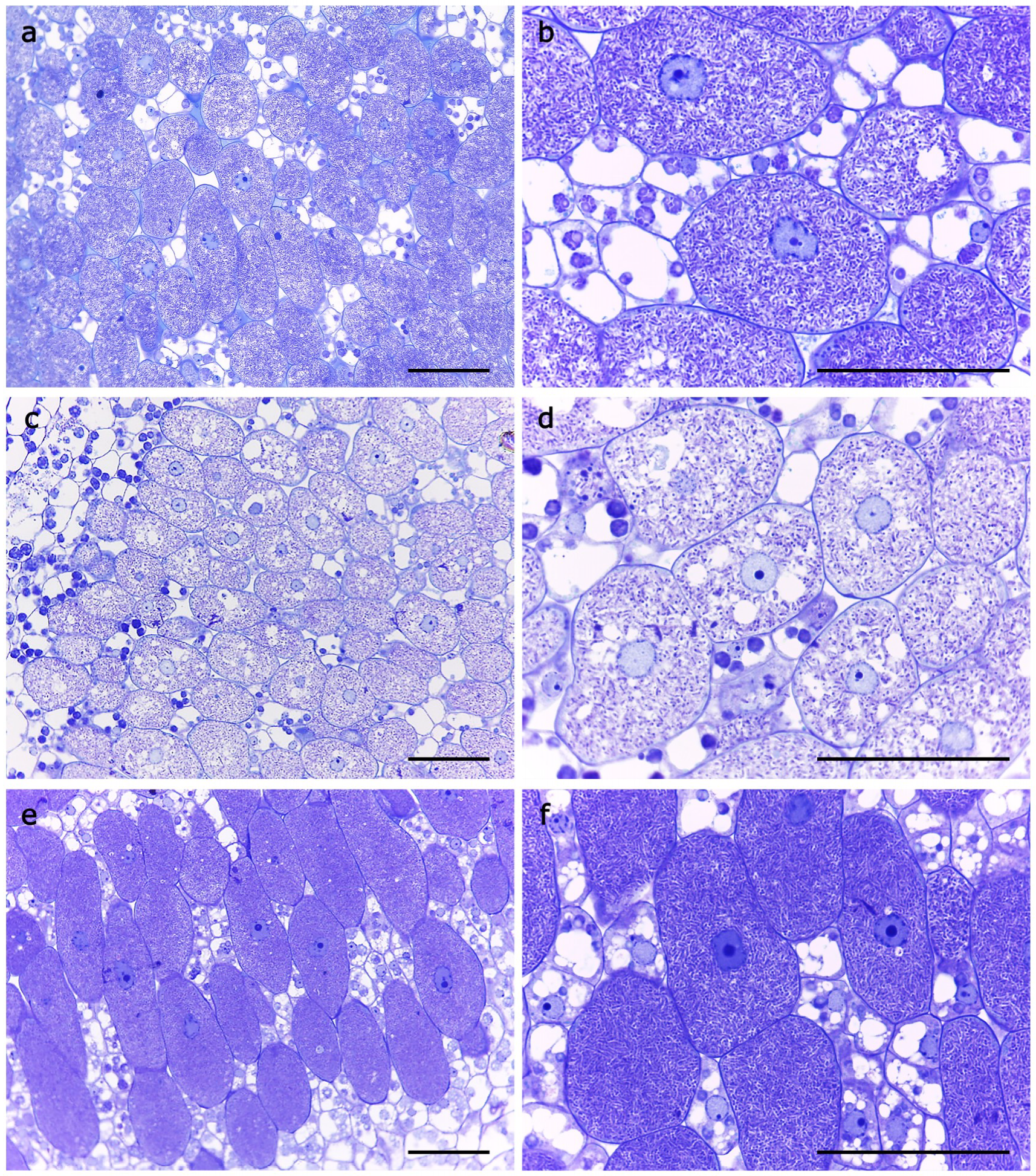 Ijms 20 00787 g005 550