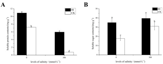 IJMS | Free Full-Text | Proteomics Analysis of E. angustifolia 