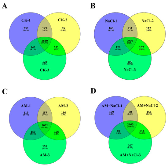 IJMS | Free Full-Text | Proteomics Analysis of E. angustifolia 