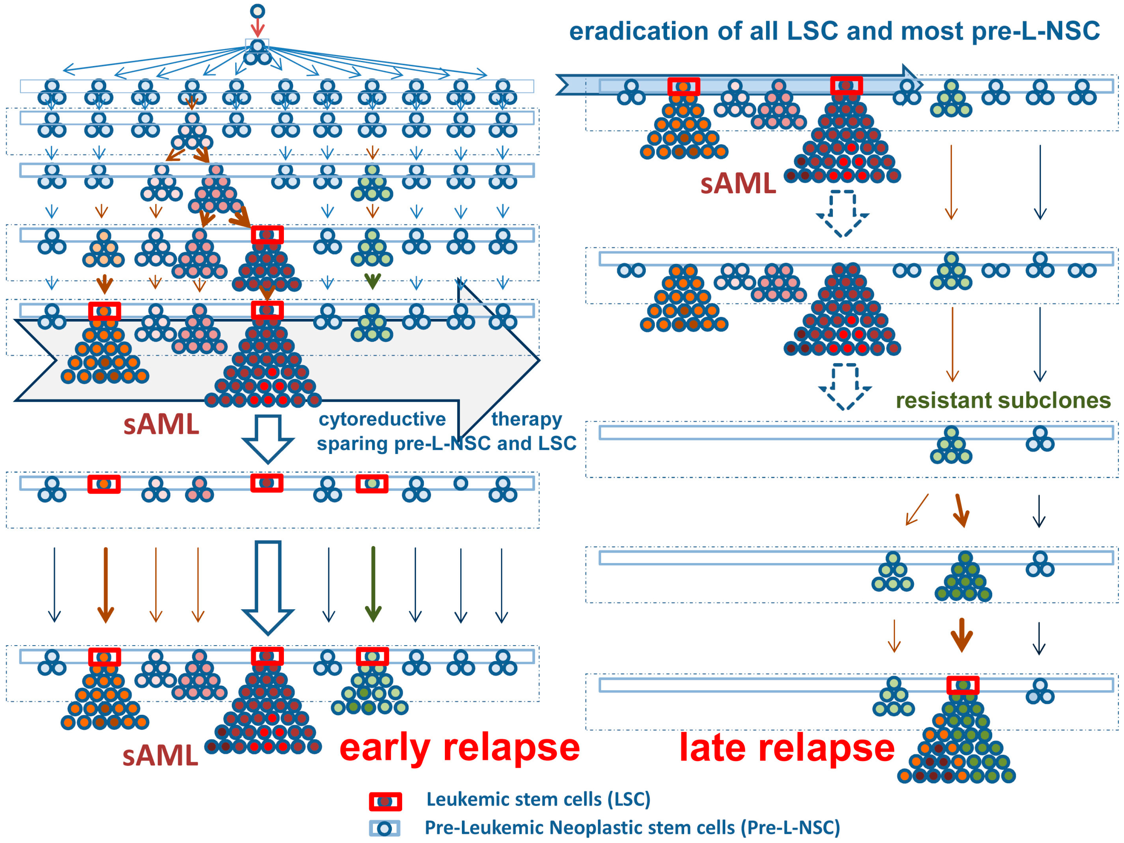 Ijms 20 00789 g001 Ijms 20 00789 g001