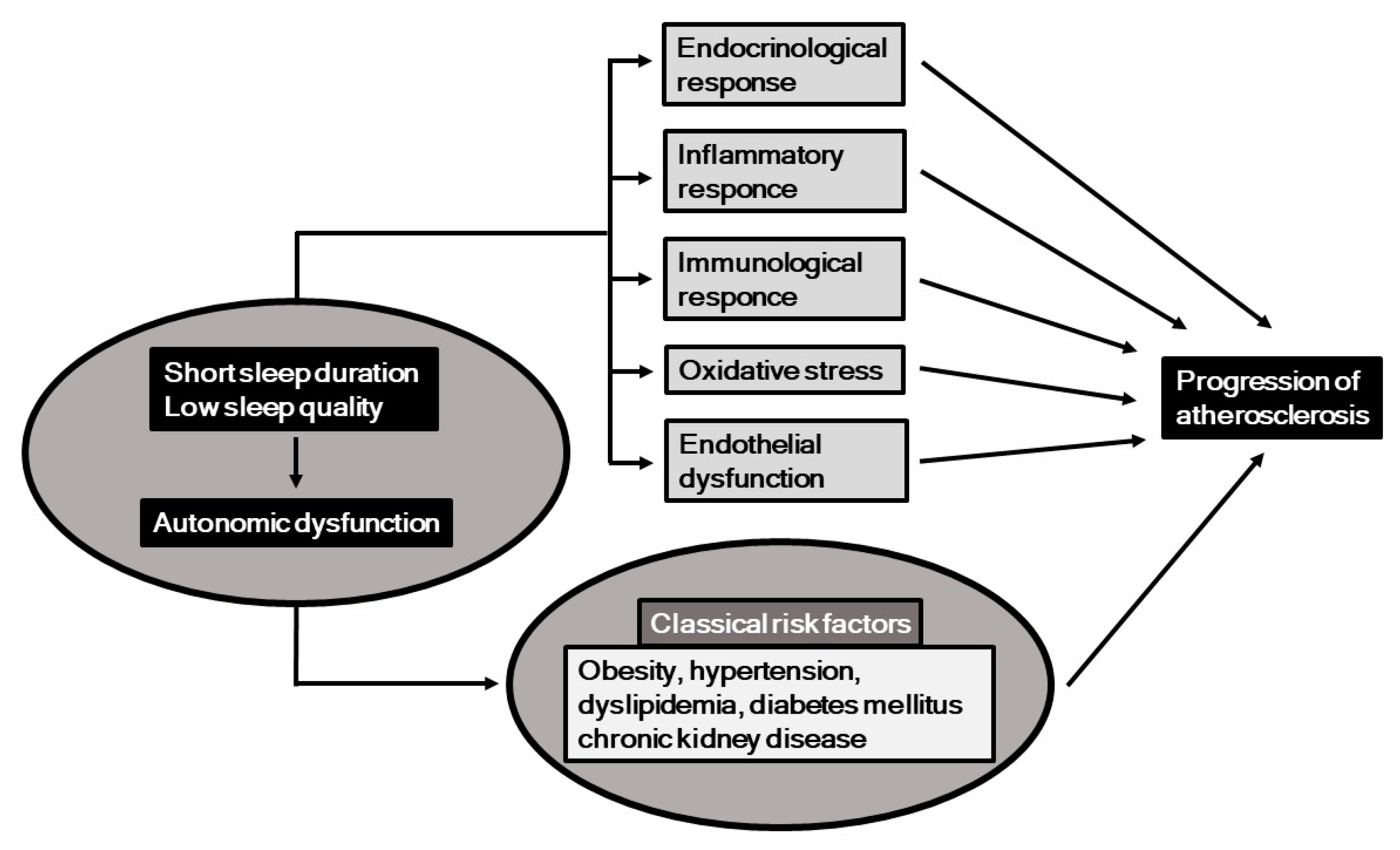 IJMS | Free Full-Text | Sleep, Autonomic Nervous Function and Atherosclerosis | HTML IJMS | Free Full-Text | Sleep, Autonomic Nervous Function and Atherosclerosis | HTML