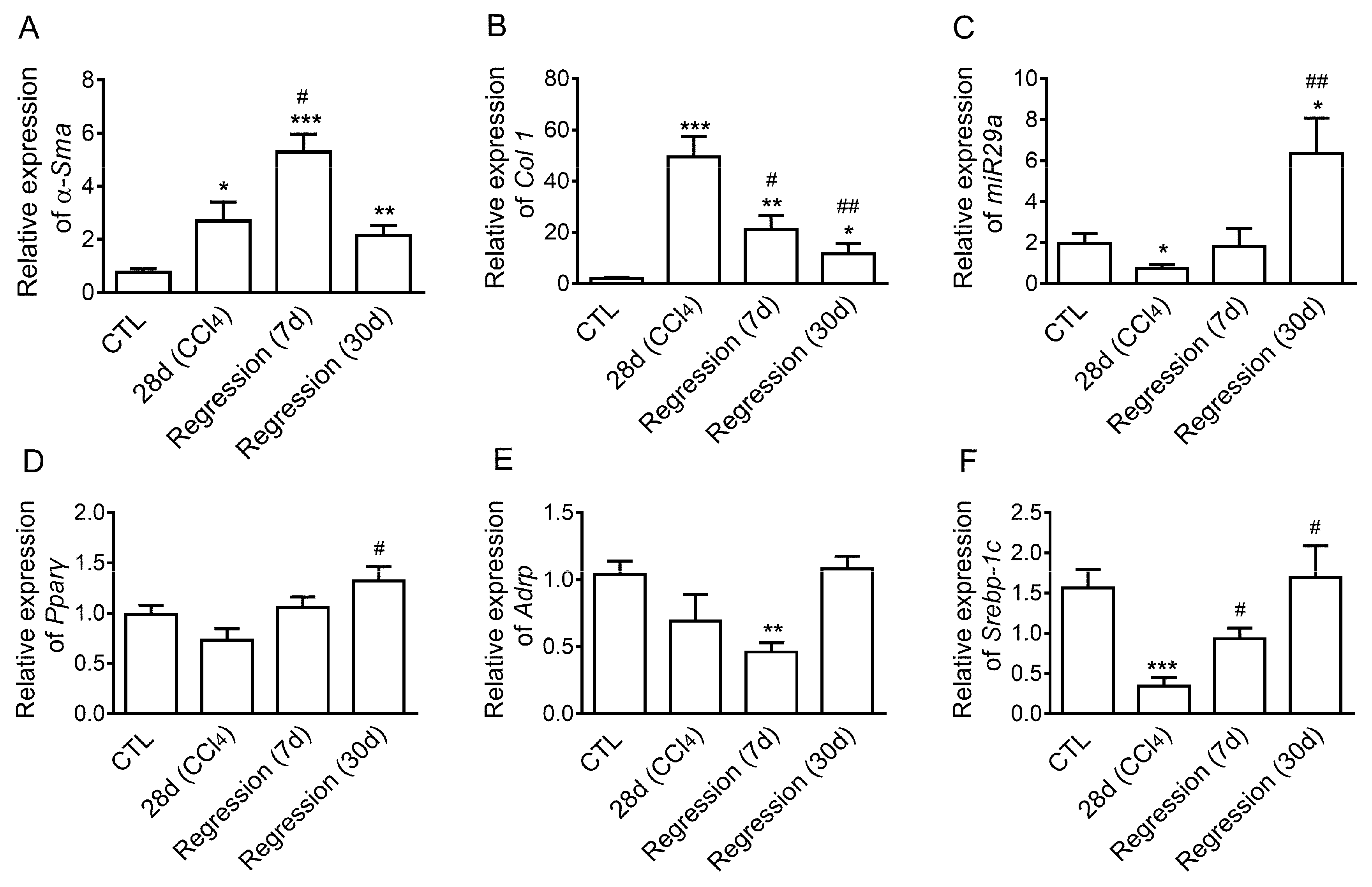 Ijms 20 00796 g001 Ijms 20 00796 g001