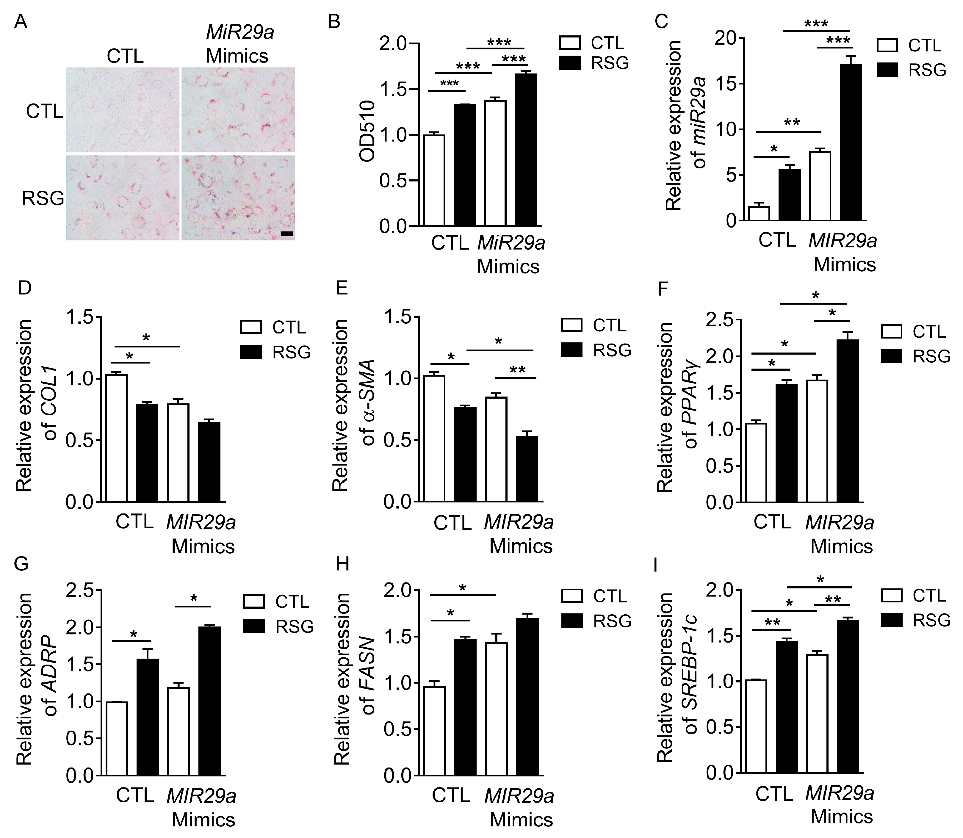 Ijms 20 00796 g002 Ijms 20 00796 g002
