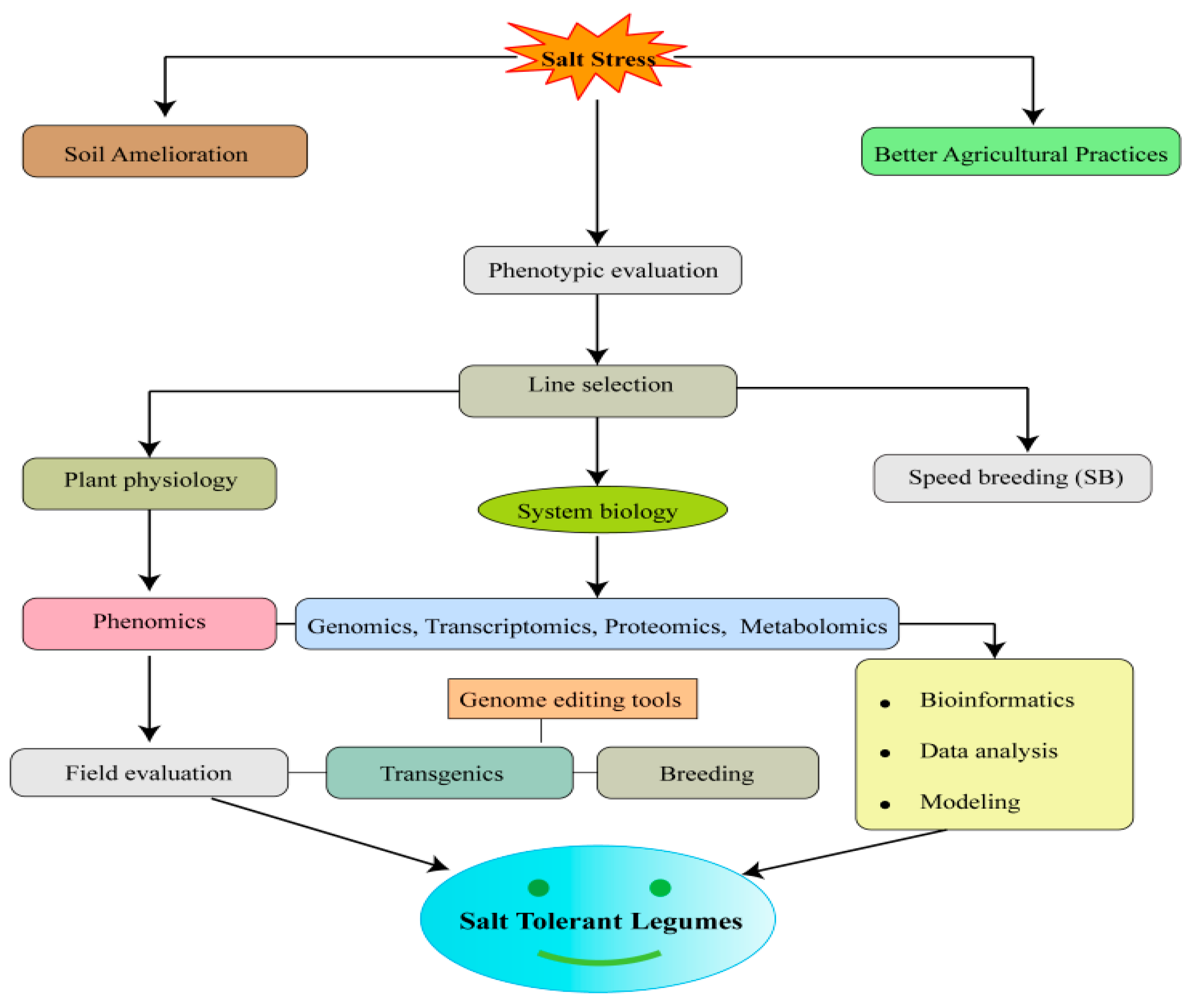 Ijms 20 00799 g005 Ijms 20 00799 g005