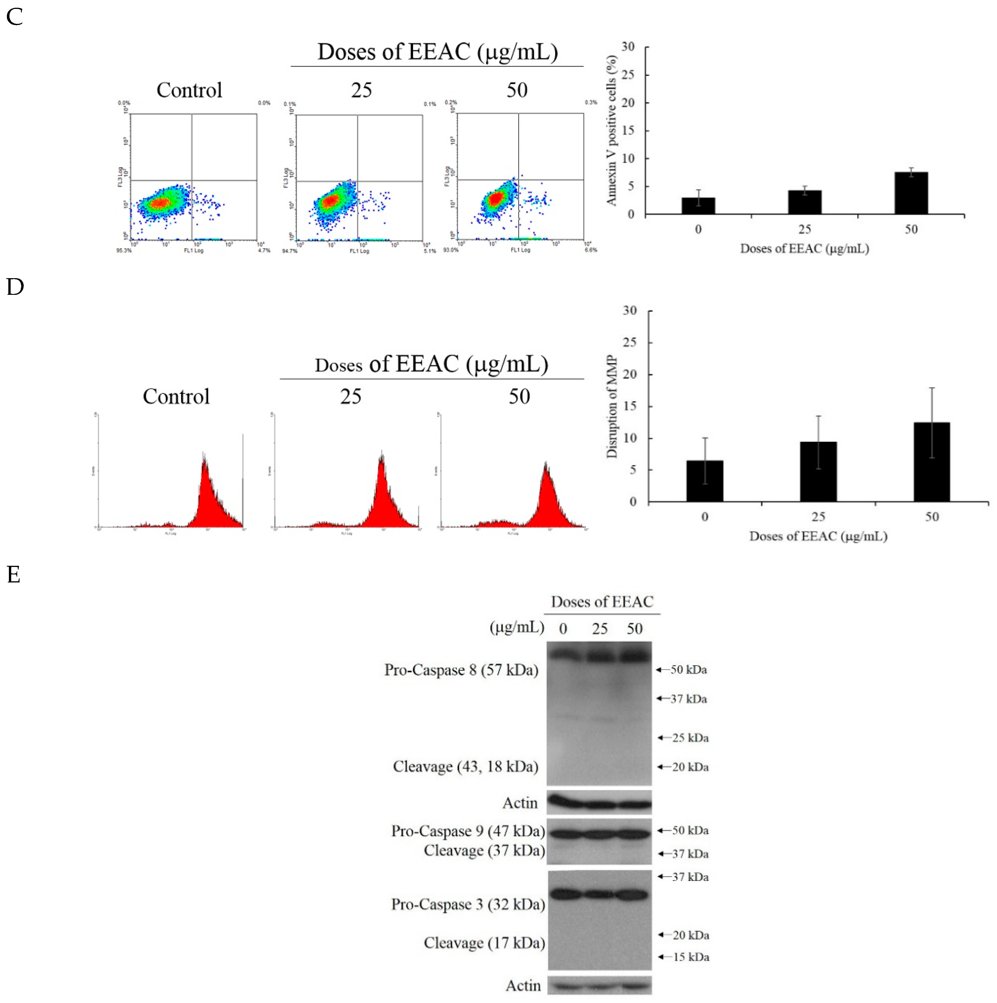 Ijms 20 00833 g001b Ijms 20 00833 g001b