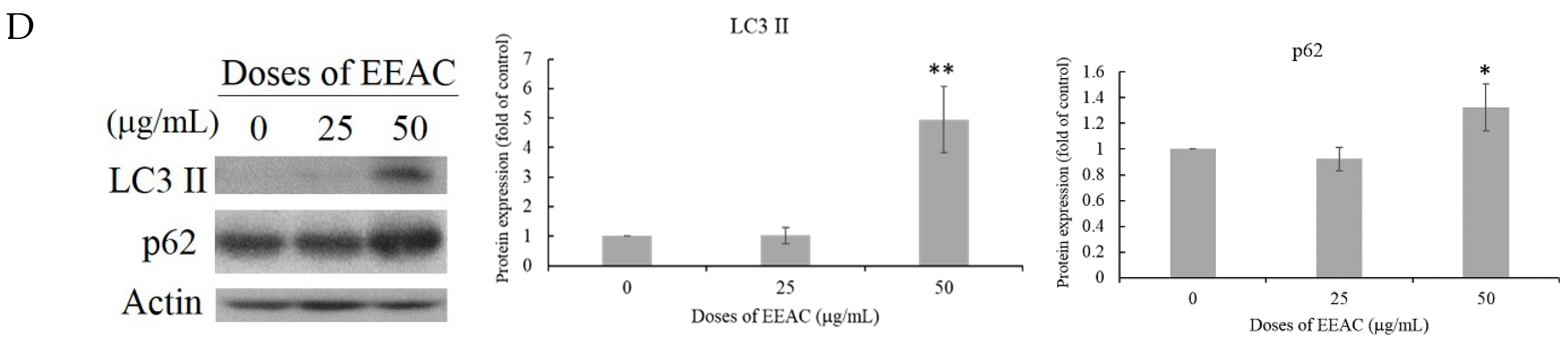 Ijms 20 00833 g002b Ijms 20 00833 g002b