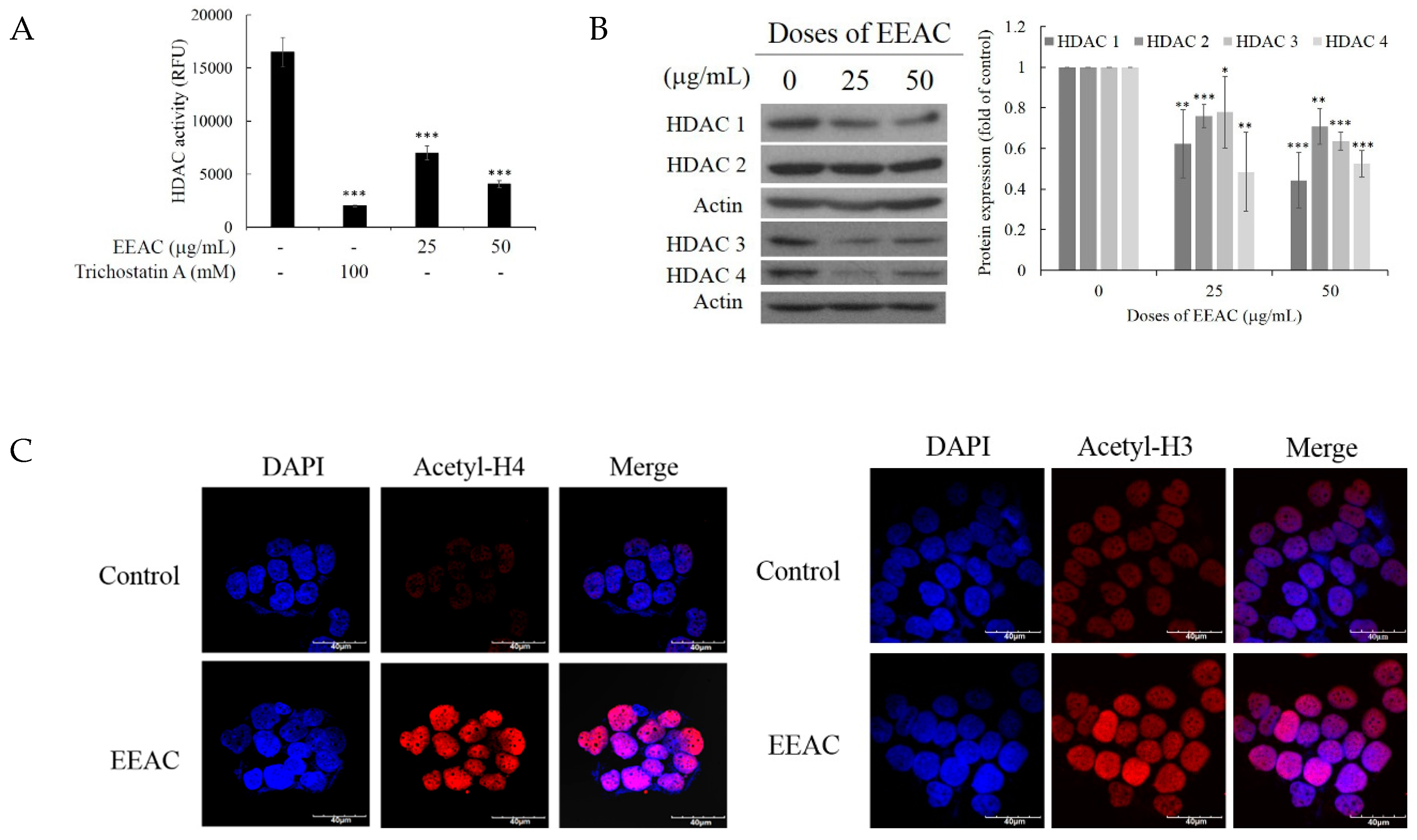 Ijms 20 00833 g004 Ijms 20 00833 g004