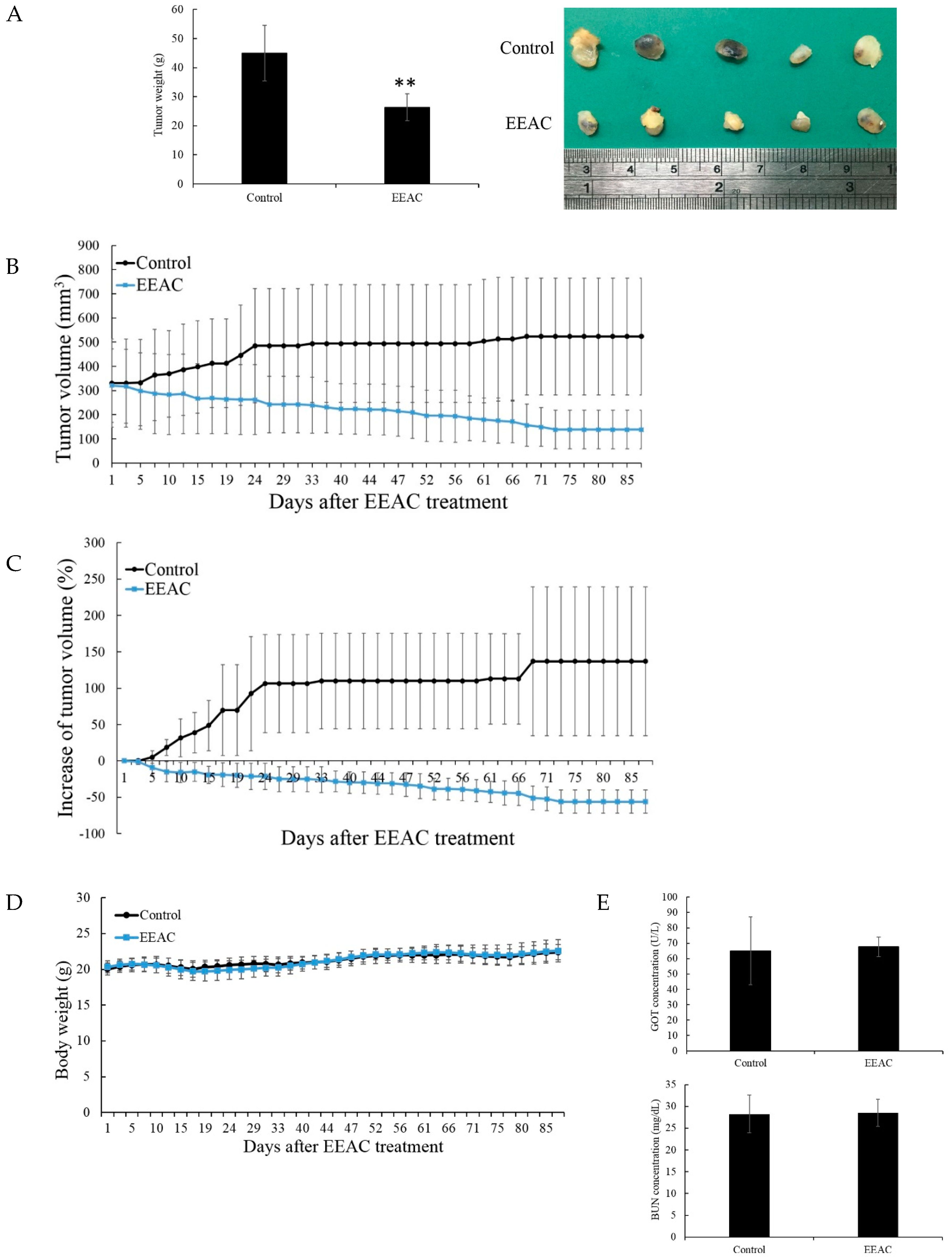 Ijms 20 00833 g005a Ijms 20 00833 g005a