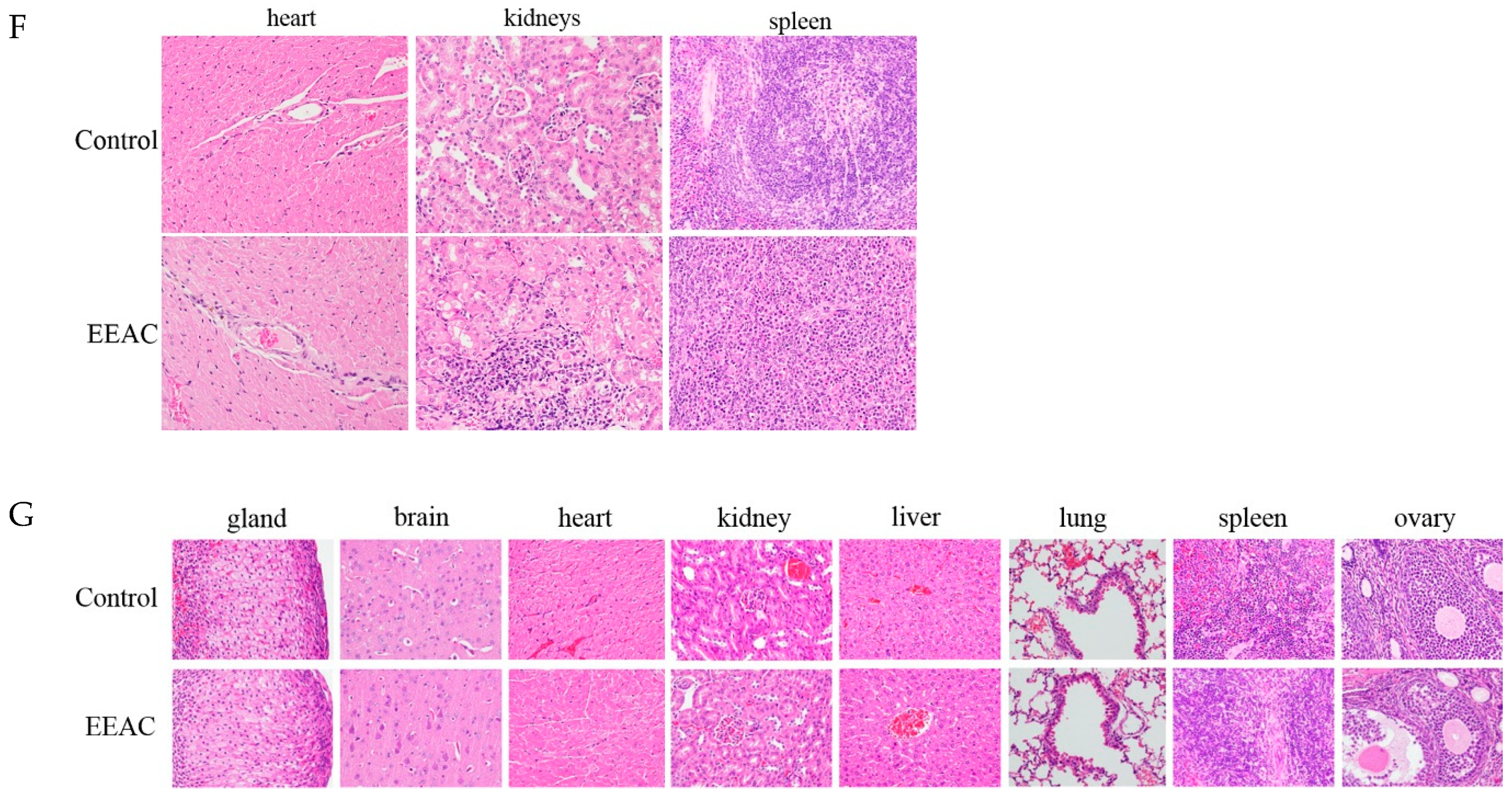 Ijms 20 00833 g005b Ijms 20 00833 g005b