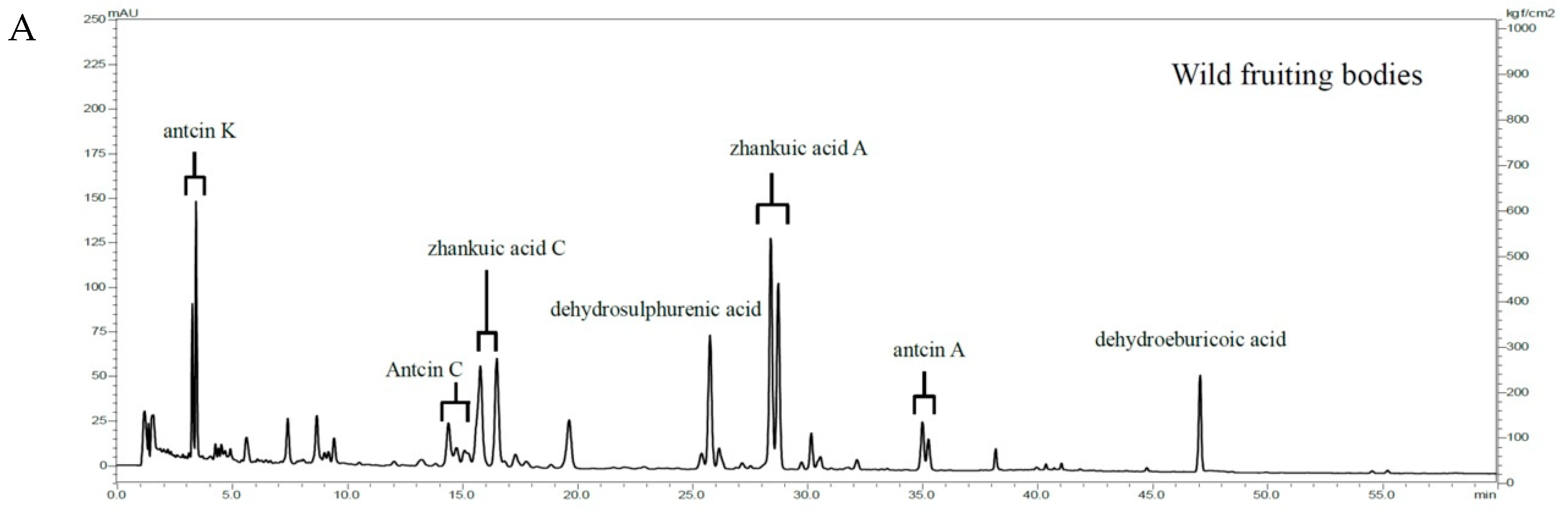 Ijms 20 00833 g006a Ijms 20 00833 g006a