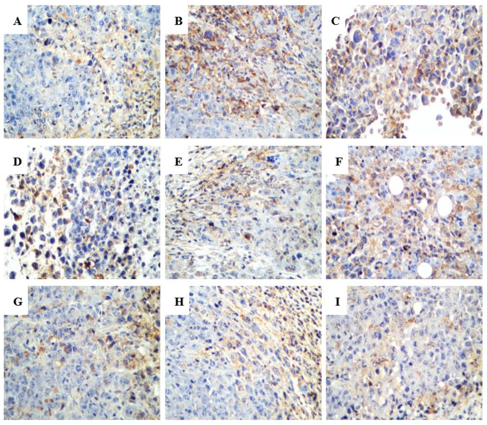 Ijms 20 00836 g007 Ijms 20 00836 g007