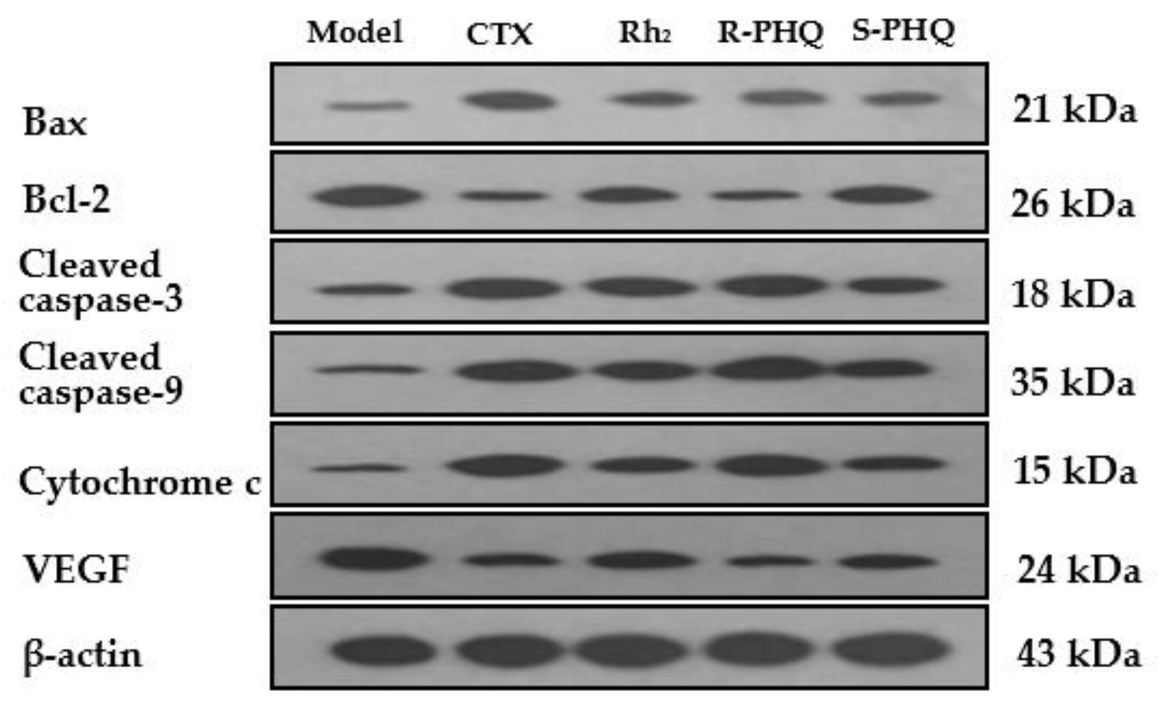Ijms 20 00836 g009 Ijms 20 00836 g009