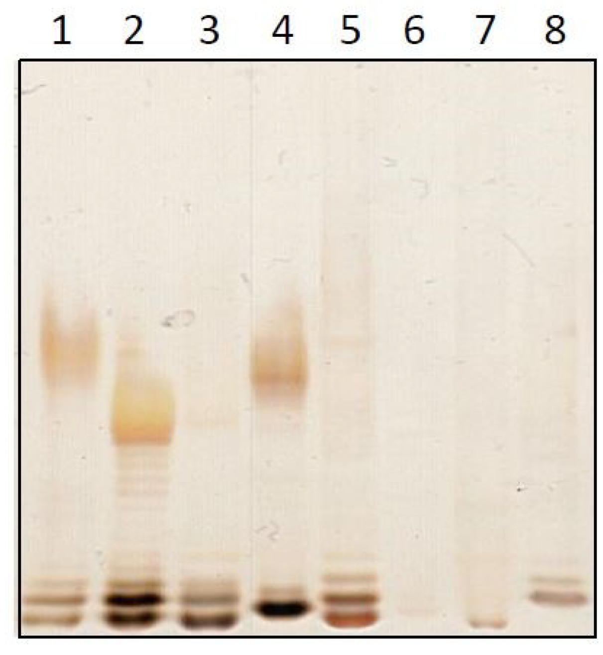 Ijms 20 00838 g001