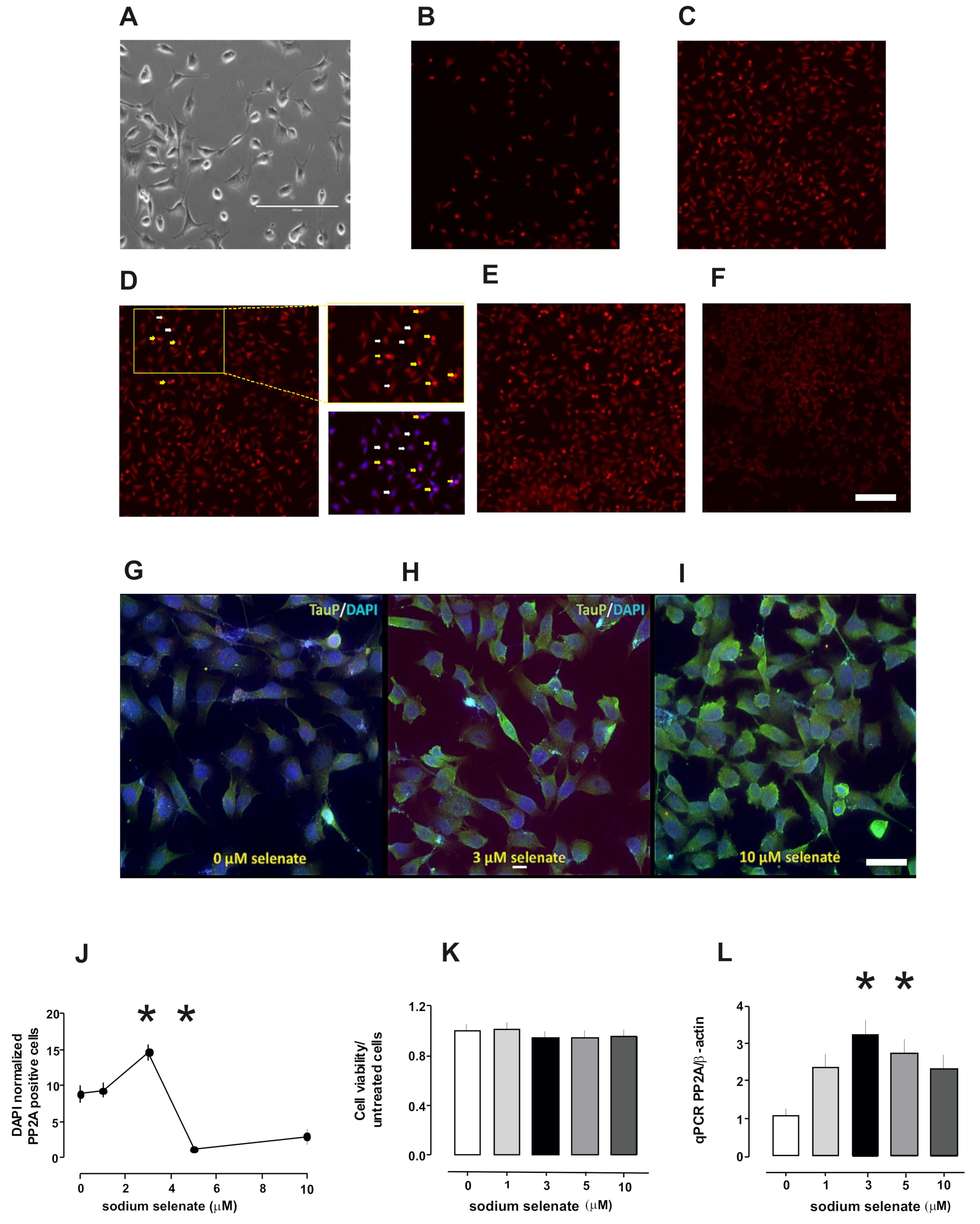 Ijms 20 00844 g001 550