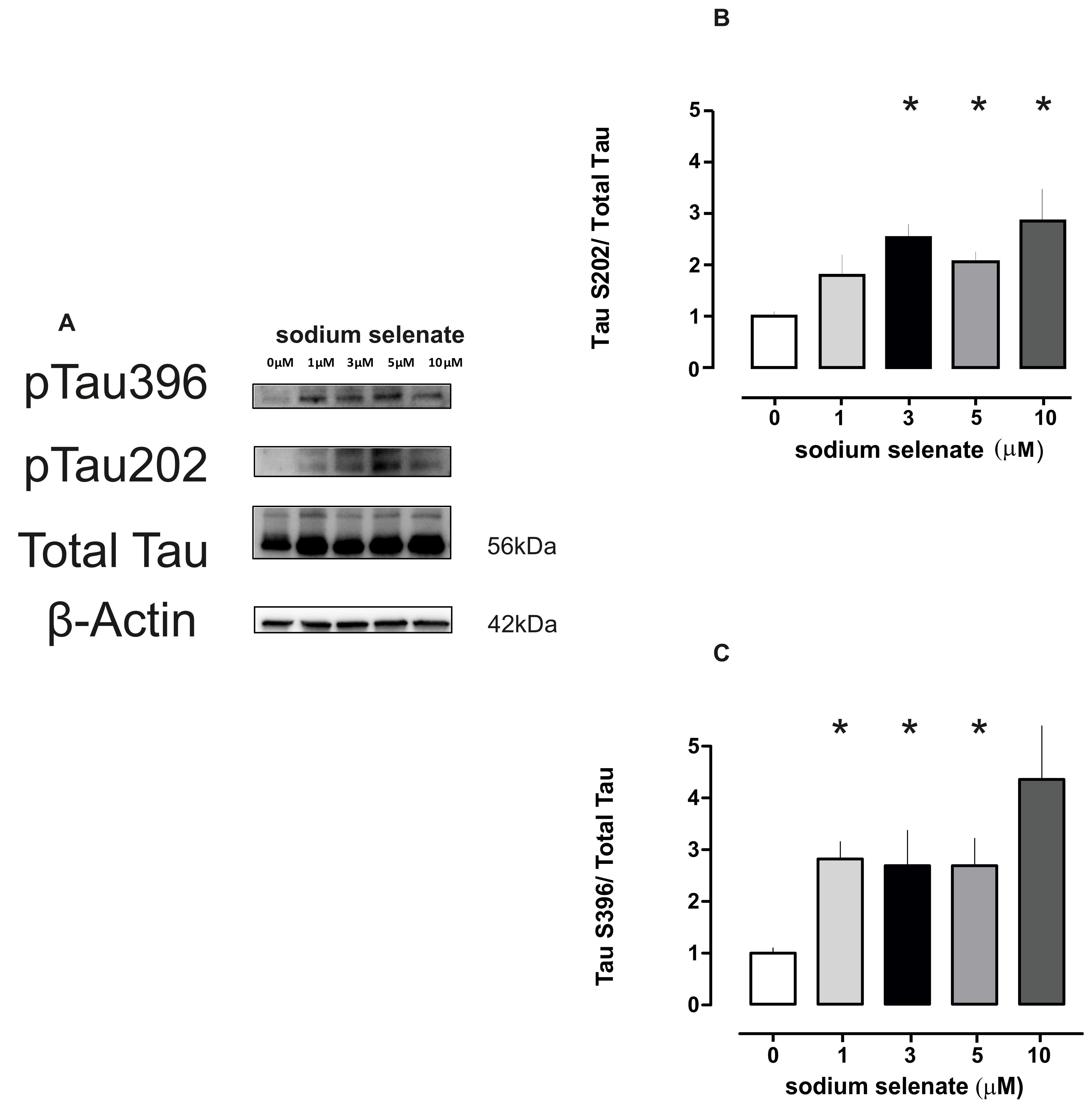 Ijms 20 00844 g004 550