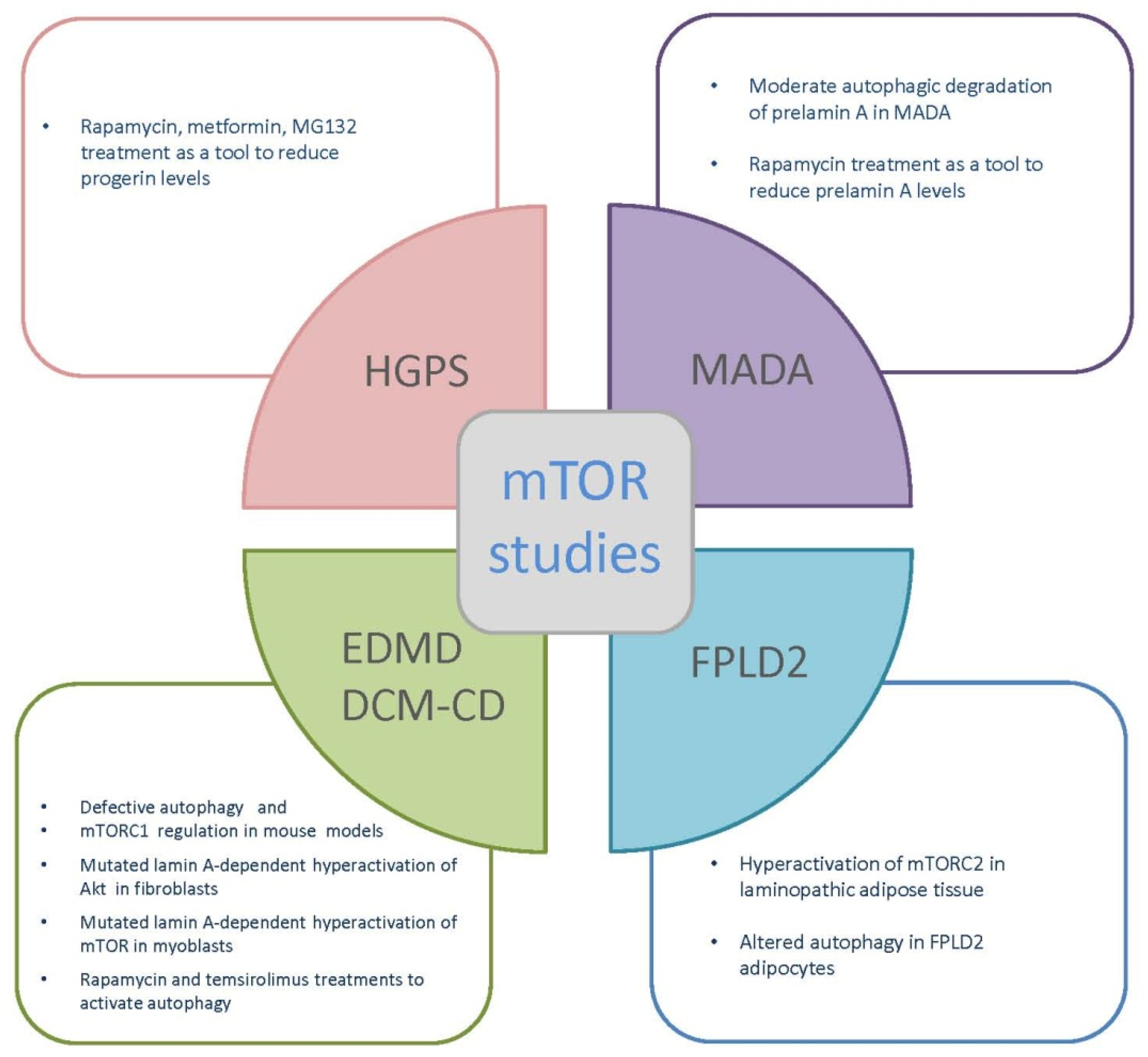 Ijms 20 00847 g004 Ijms 20 00847 g004
