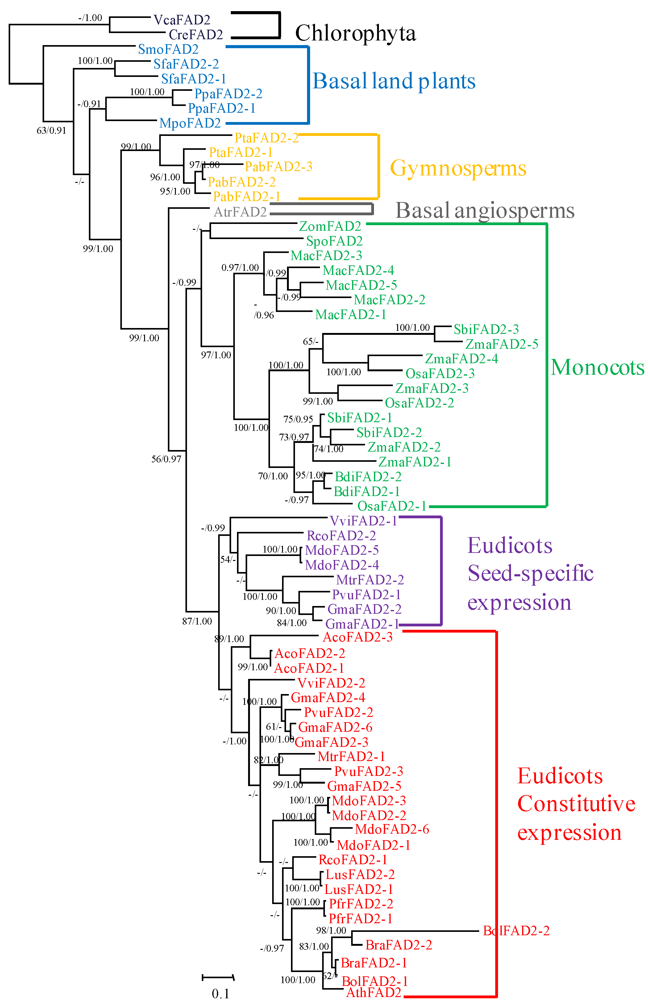 Ijms 20 00849 g002 Ijms 20 00849 g002