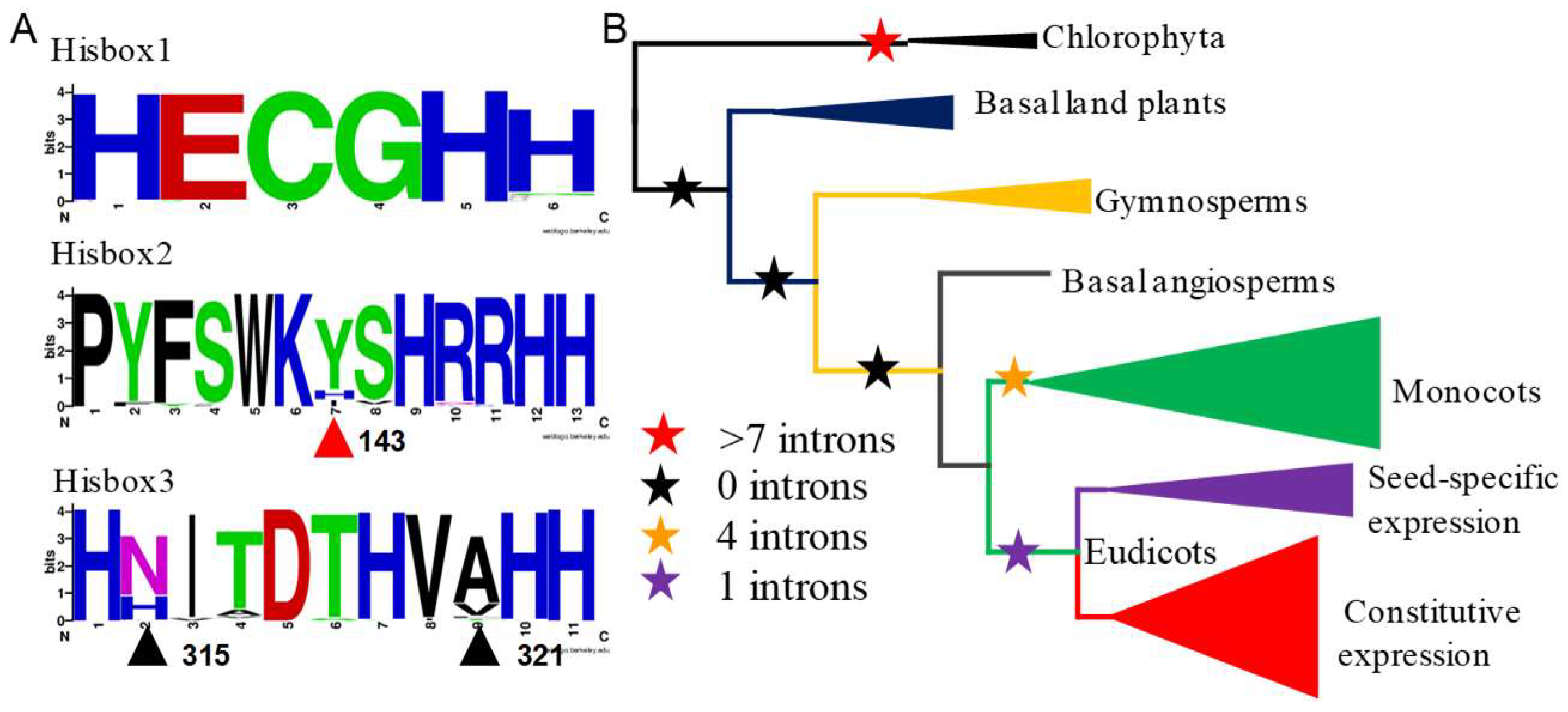 Ijms 20 00849 g003 Ijms 20 00849 g003